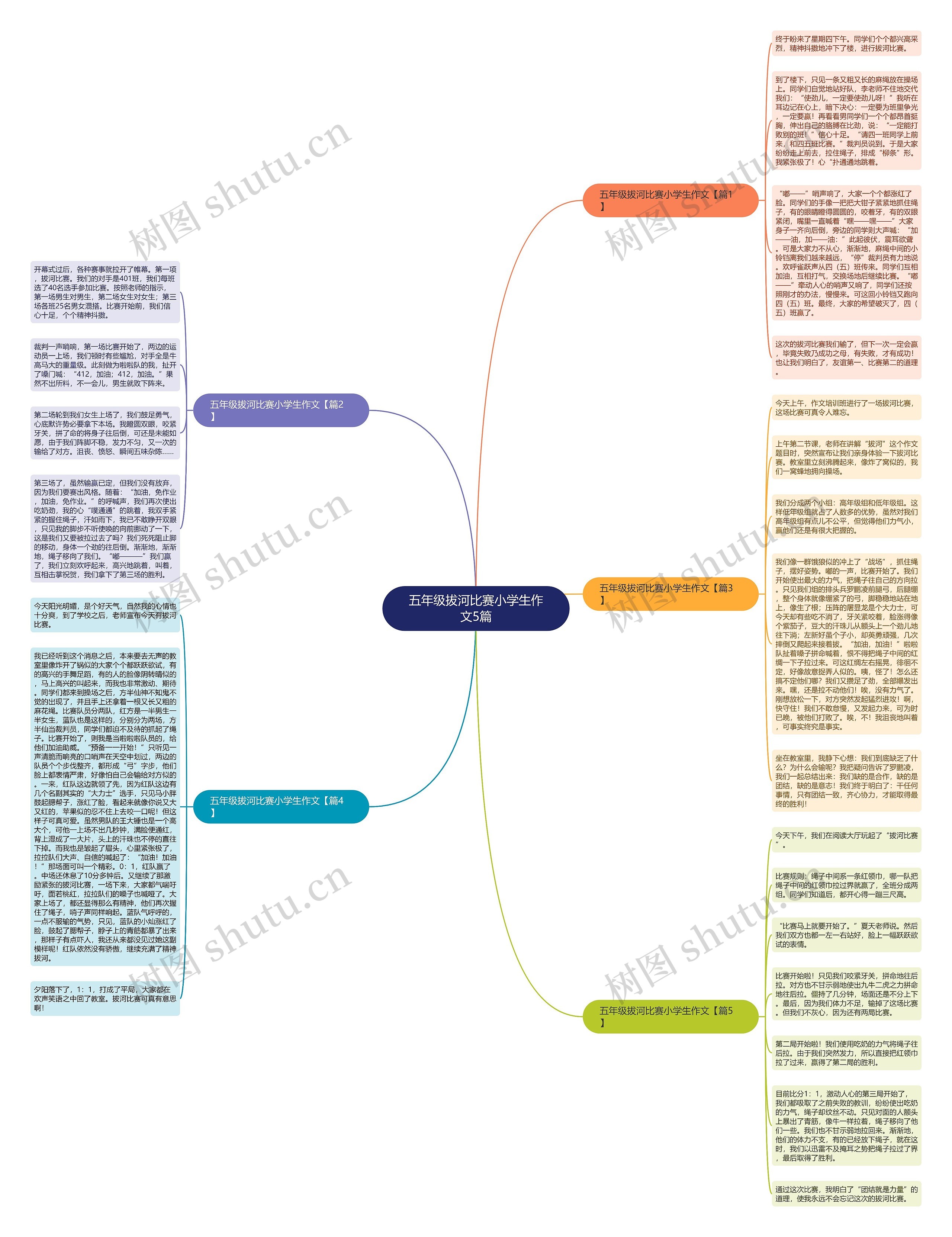 五年级拔河比赛小学生作文5篇思维导图