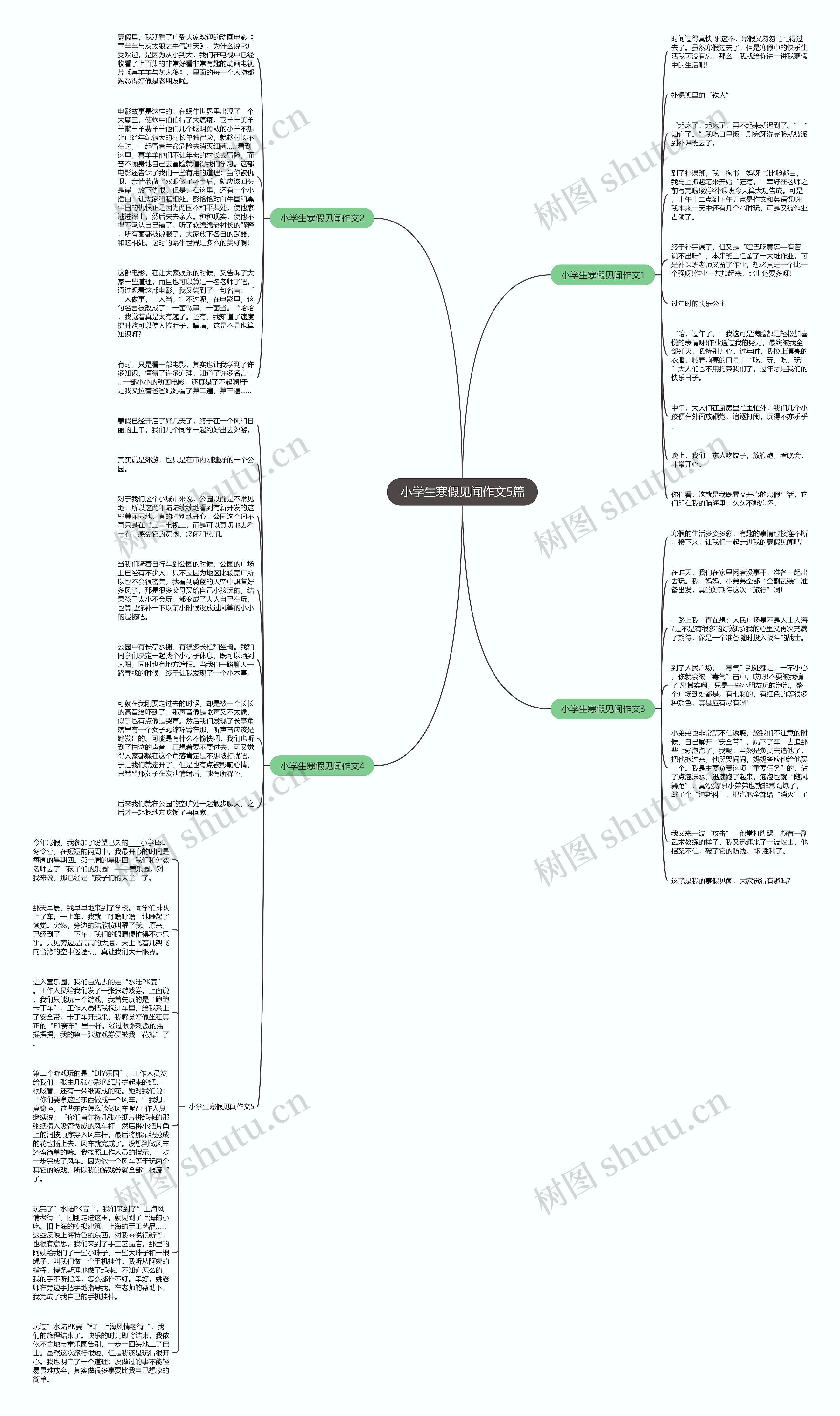 小学生寒假见闻作文5篇思维导图