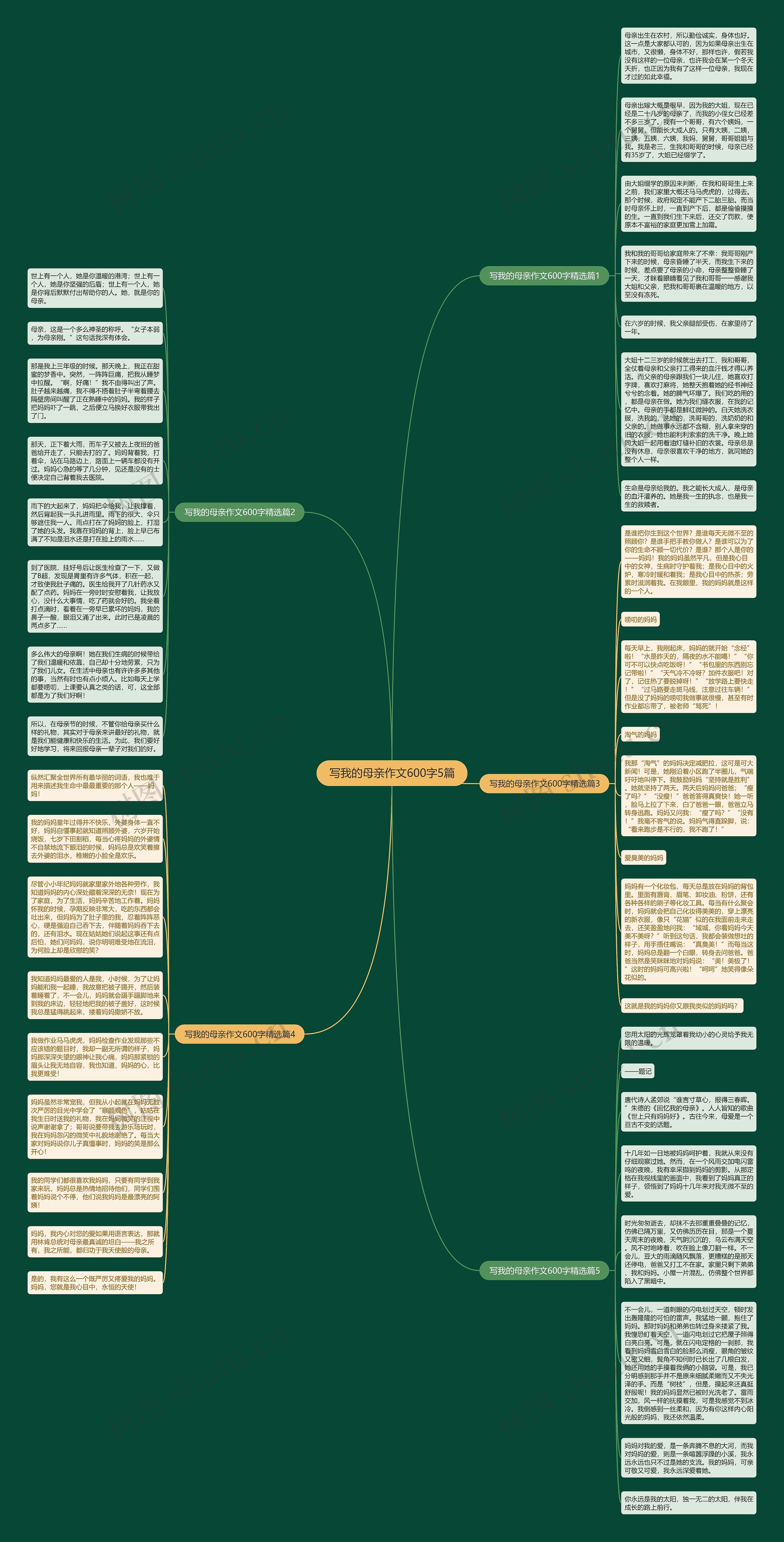 写我的母亲作文600字5篇思维导图