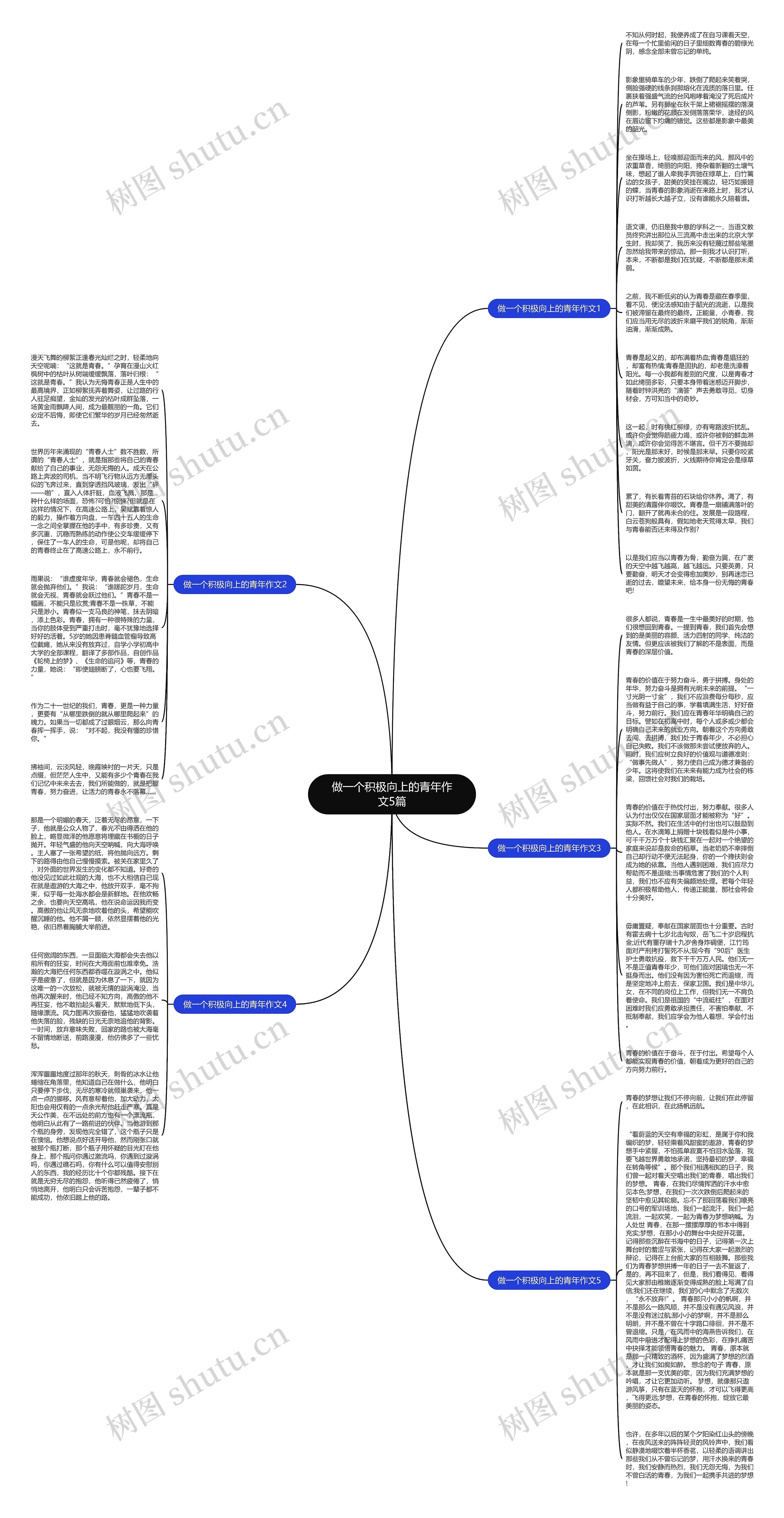 做一个积极向上的青年作文5篇思维导图