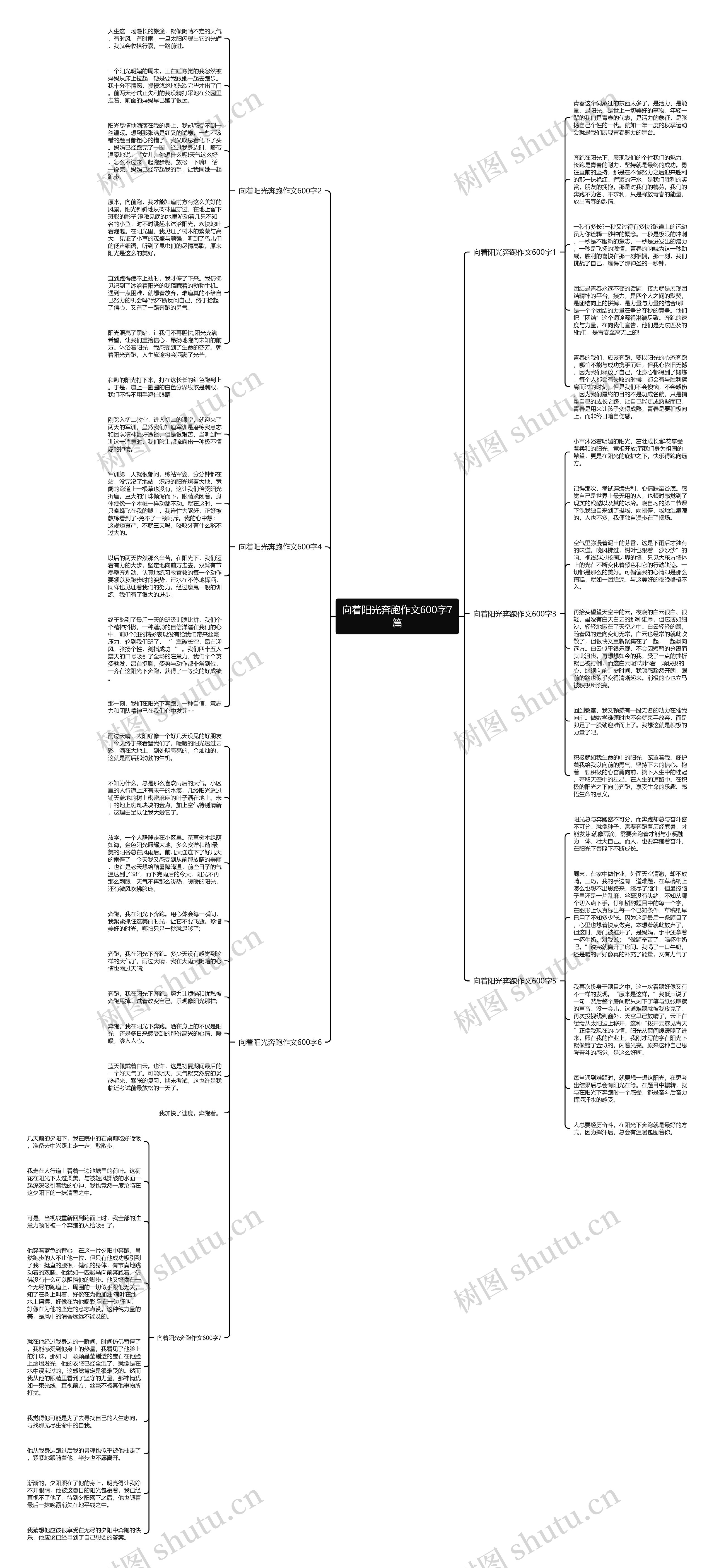 向着阳光奔跑作文600字7篇