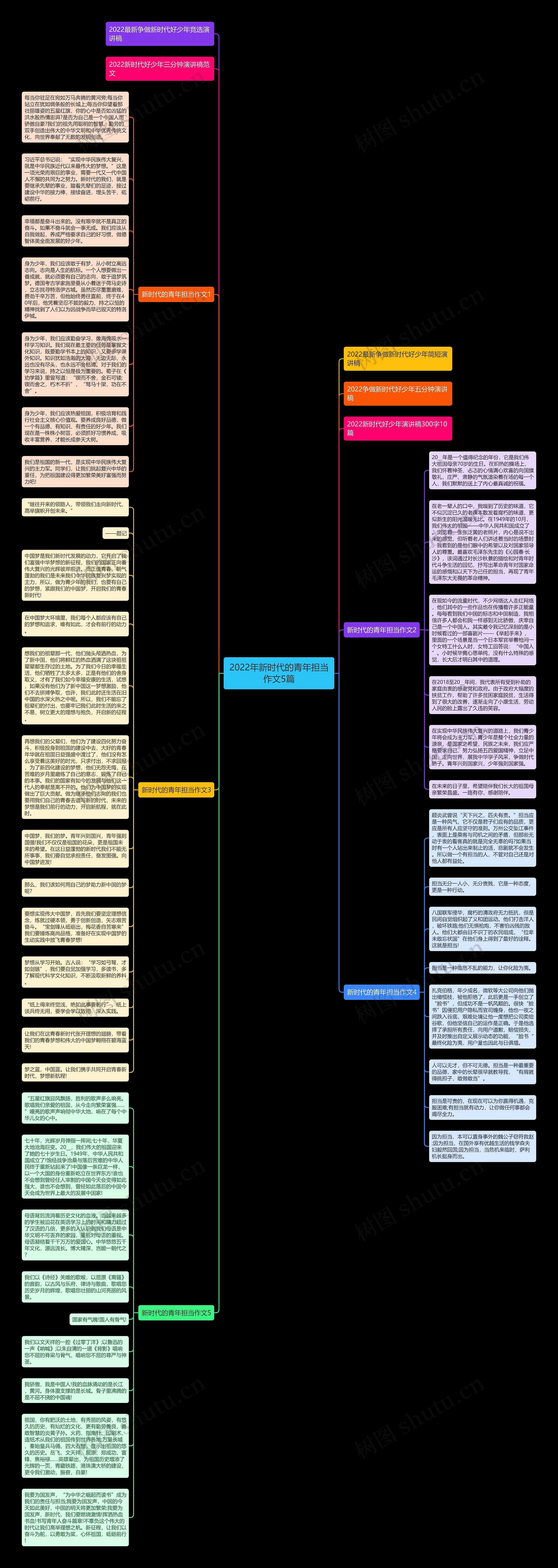 2022年新时代的青年担当作文5篇思维导图