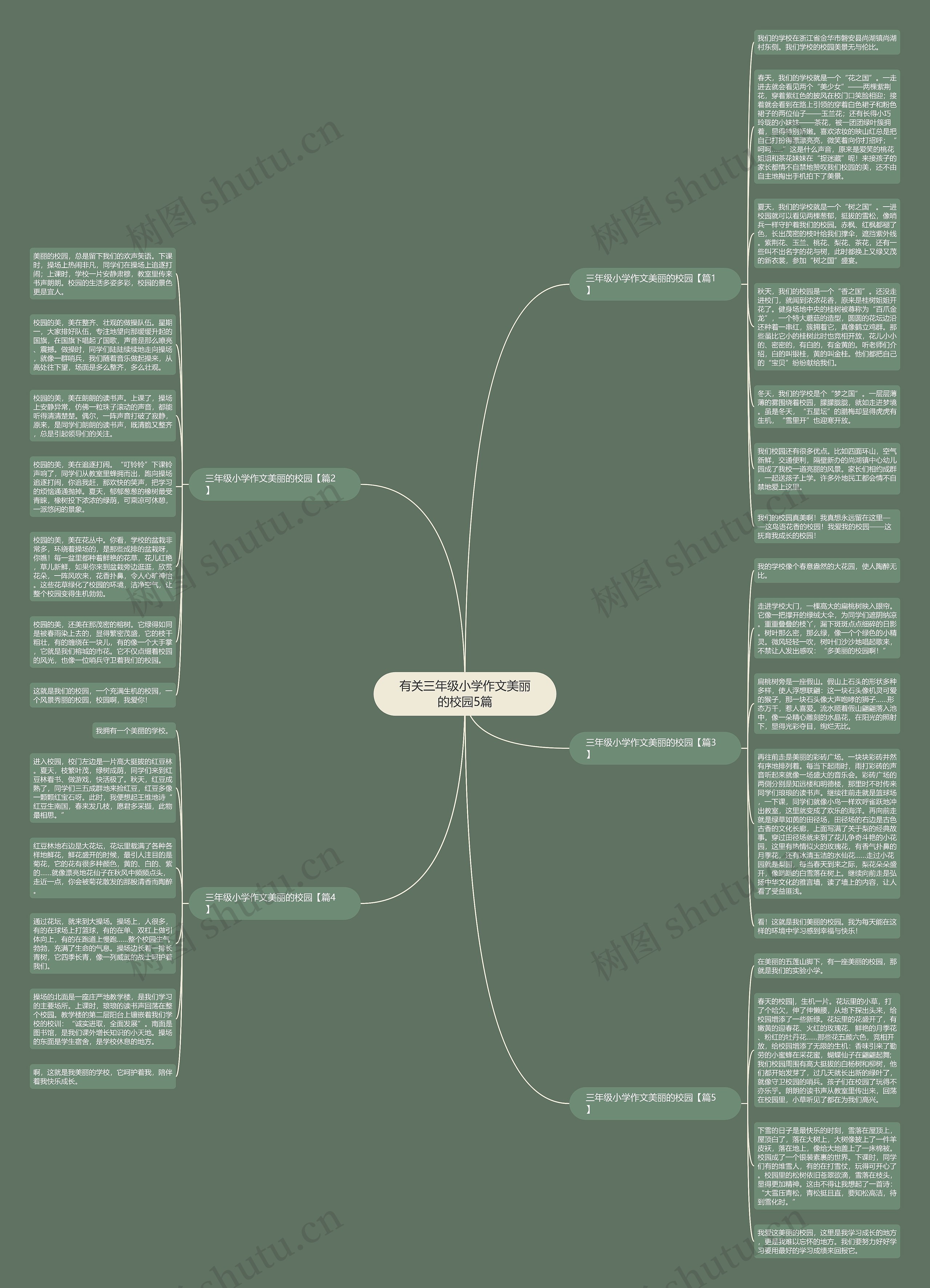 有关三年级小学作文美丽的校园5篇思维导图