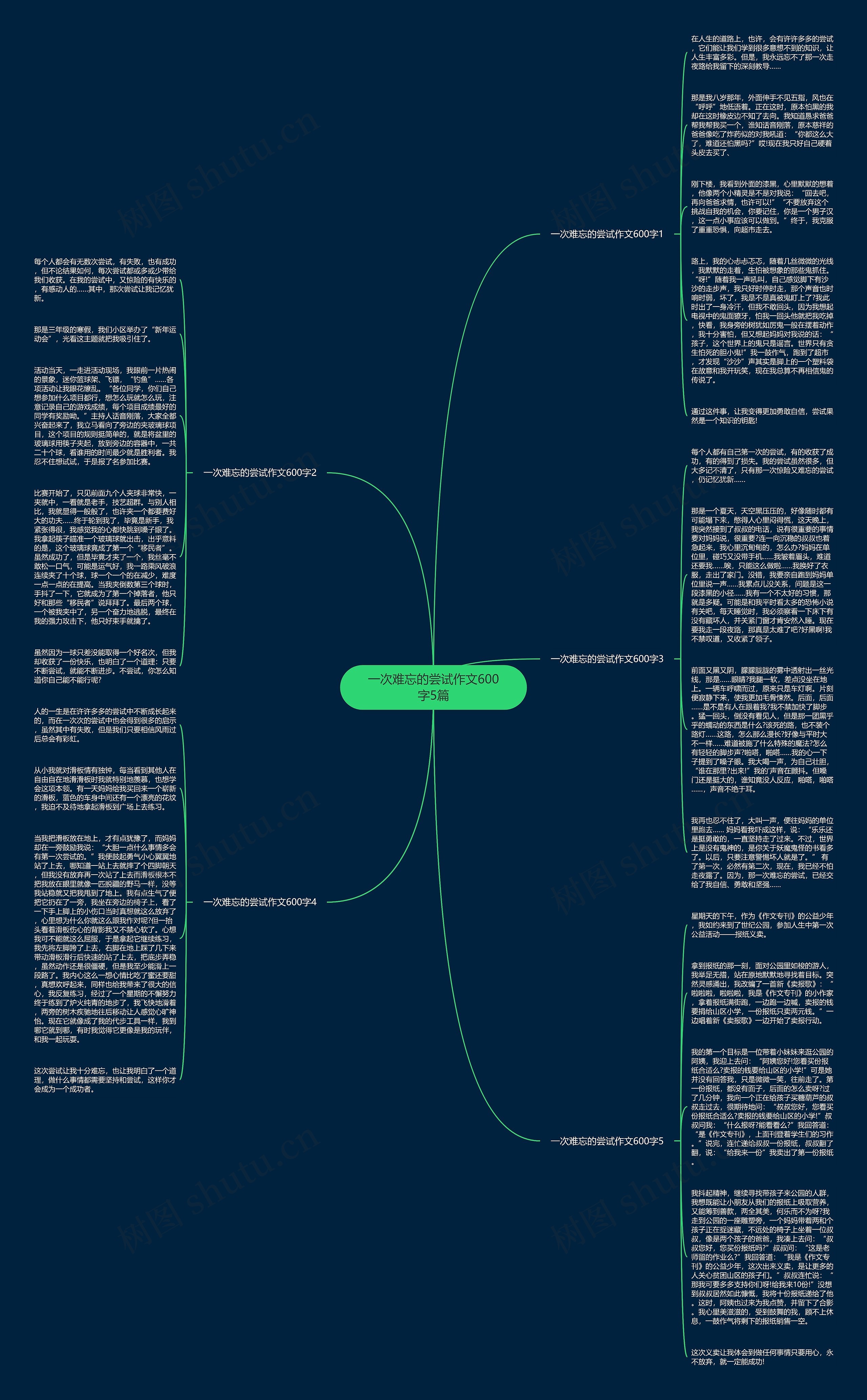 一次难忘的尝试作文600字5篇思维导图