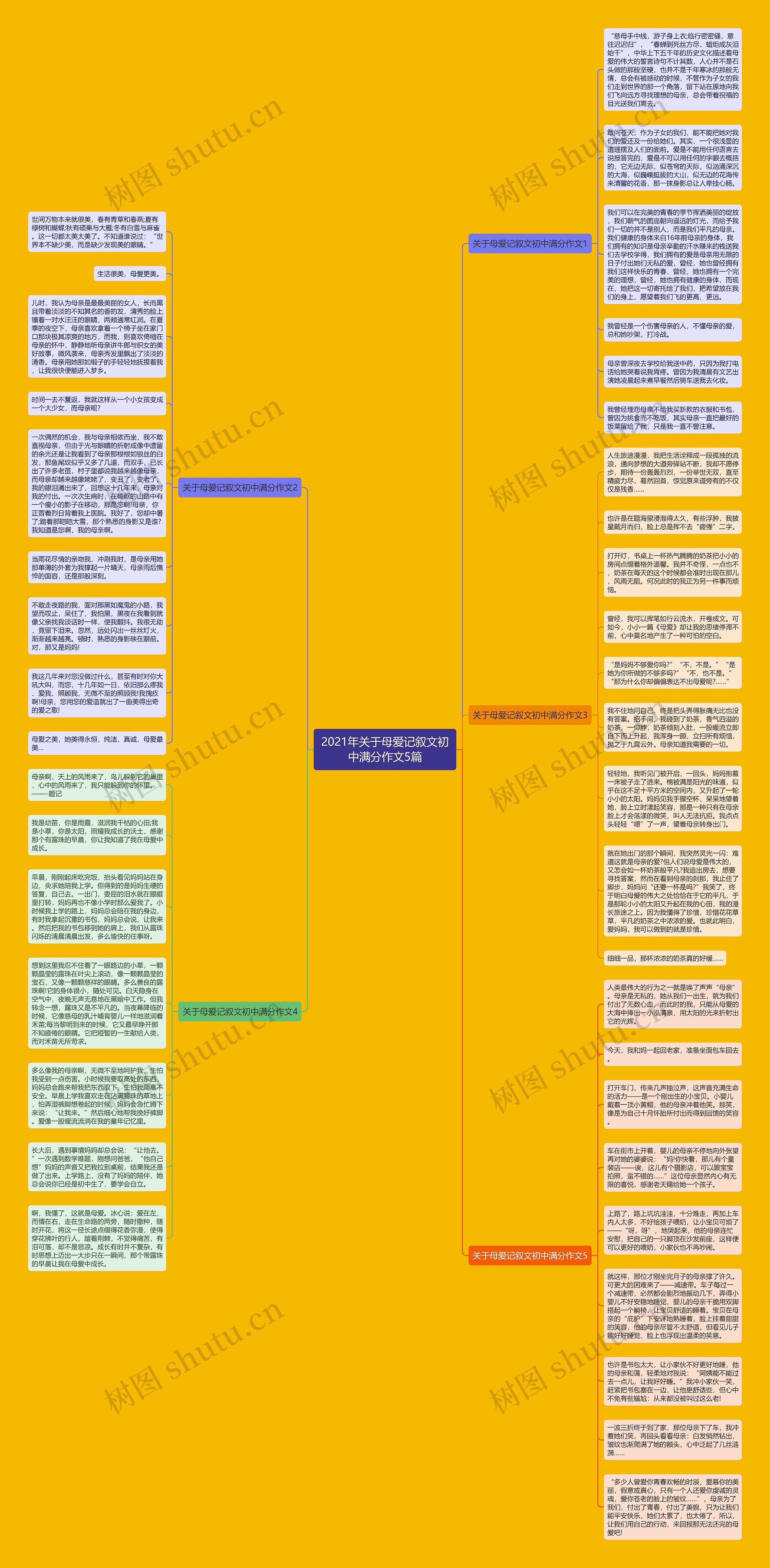 2021年关于母爱记叙文初中满分作文5篇思维导图