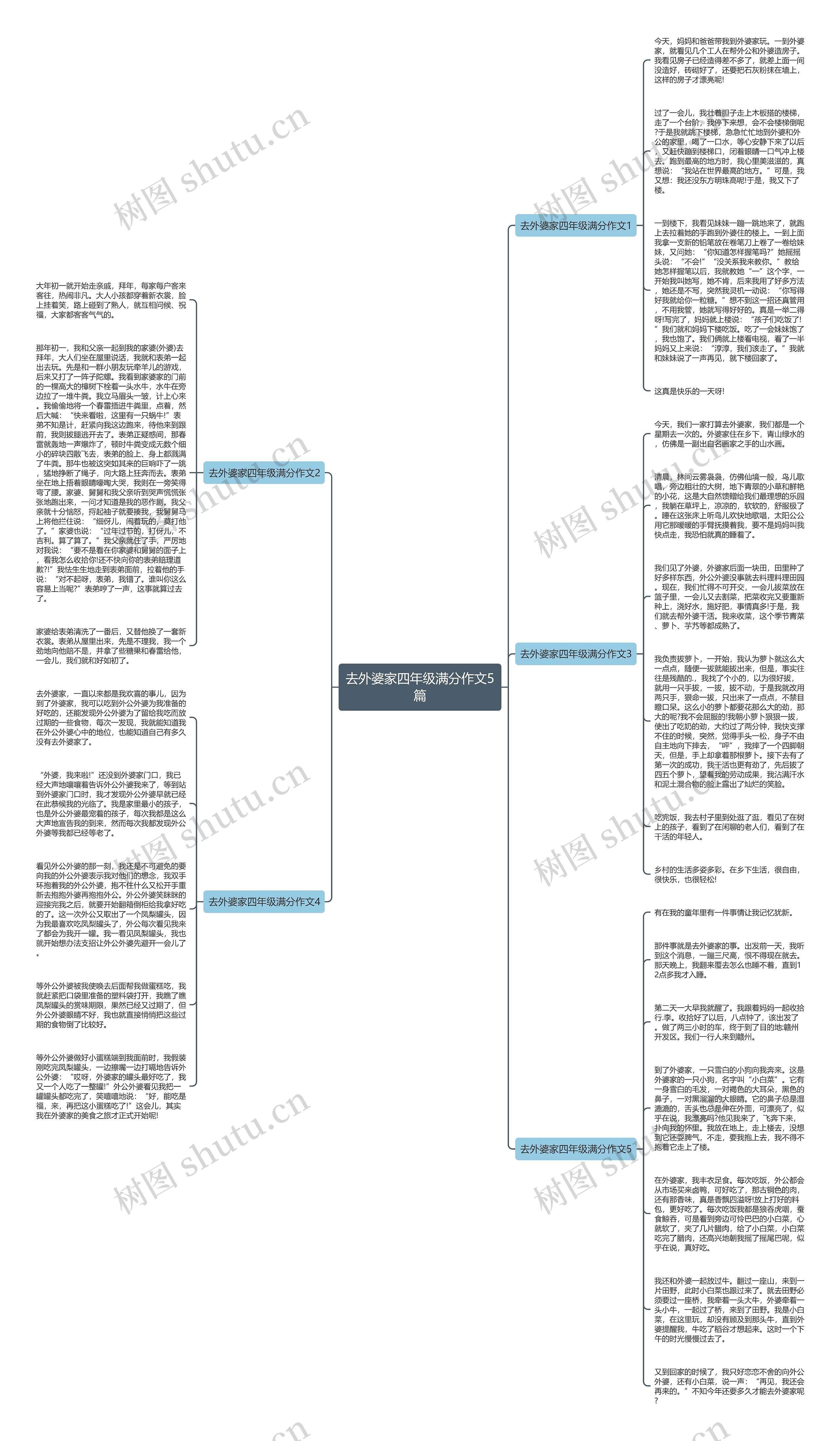 去外婆家四年级满分作文5篇思维导图
