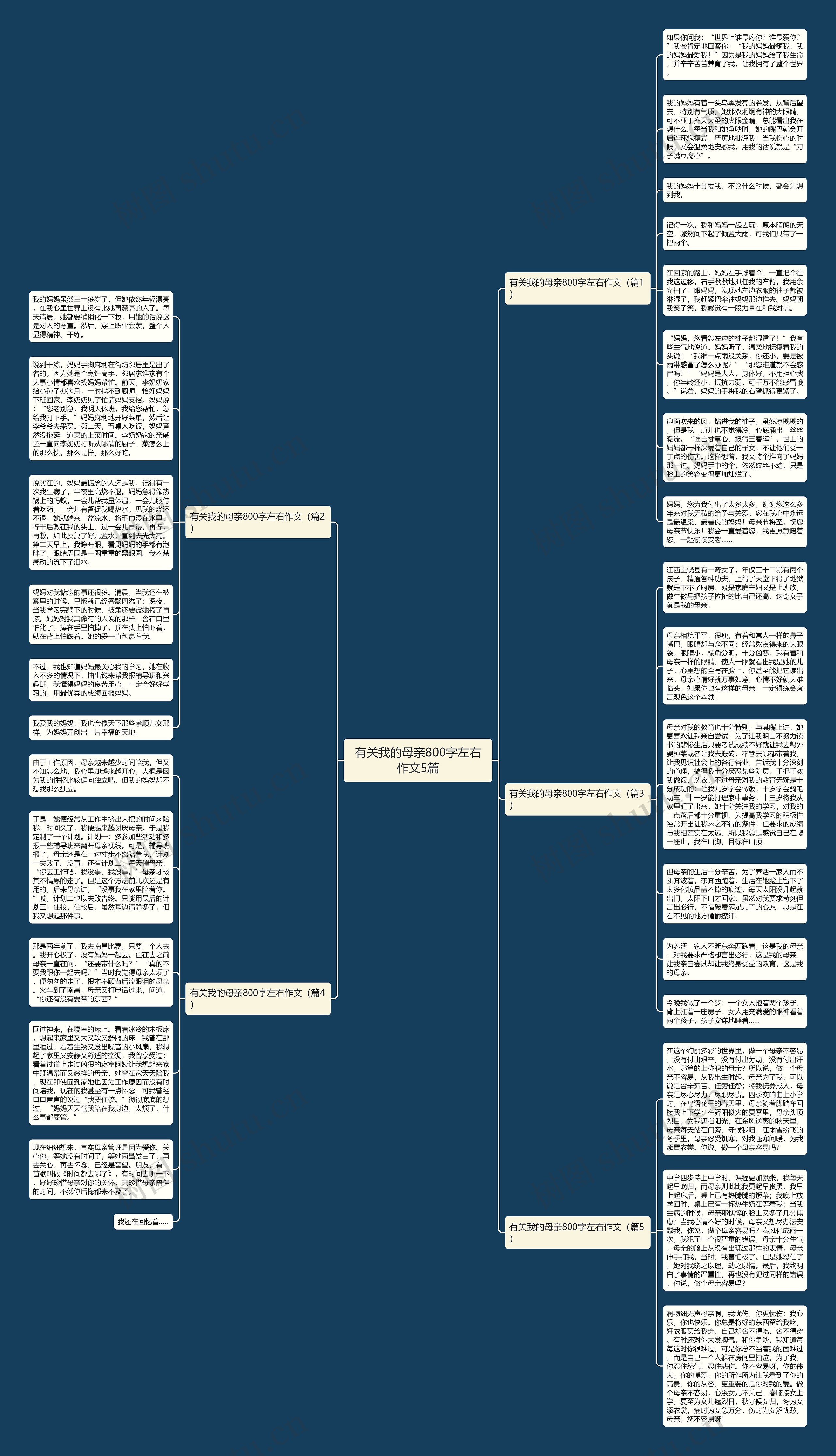 有关我的母亲800字左右作文5篇