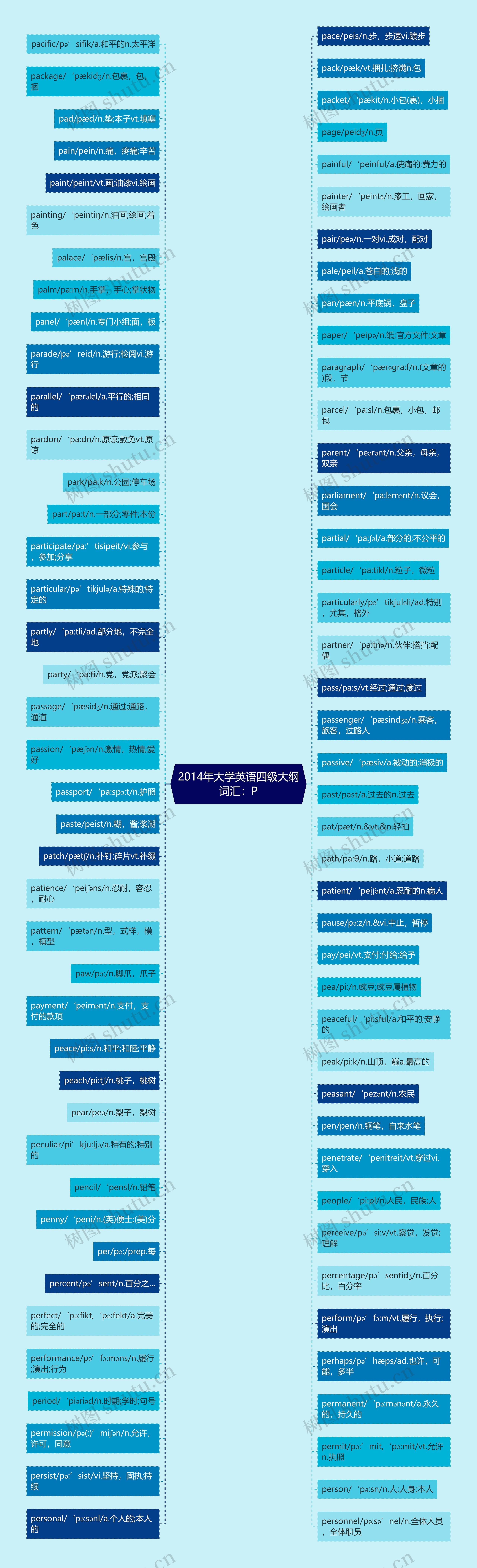 2014年大学英语四级大纲词汇：P思维导图