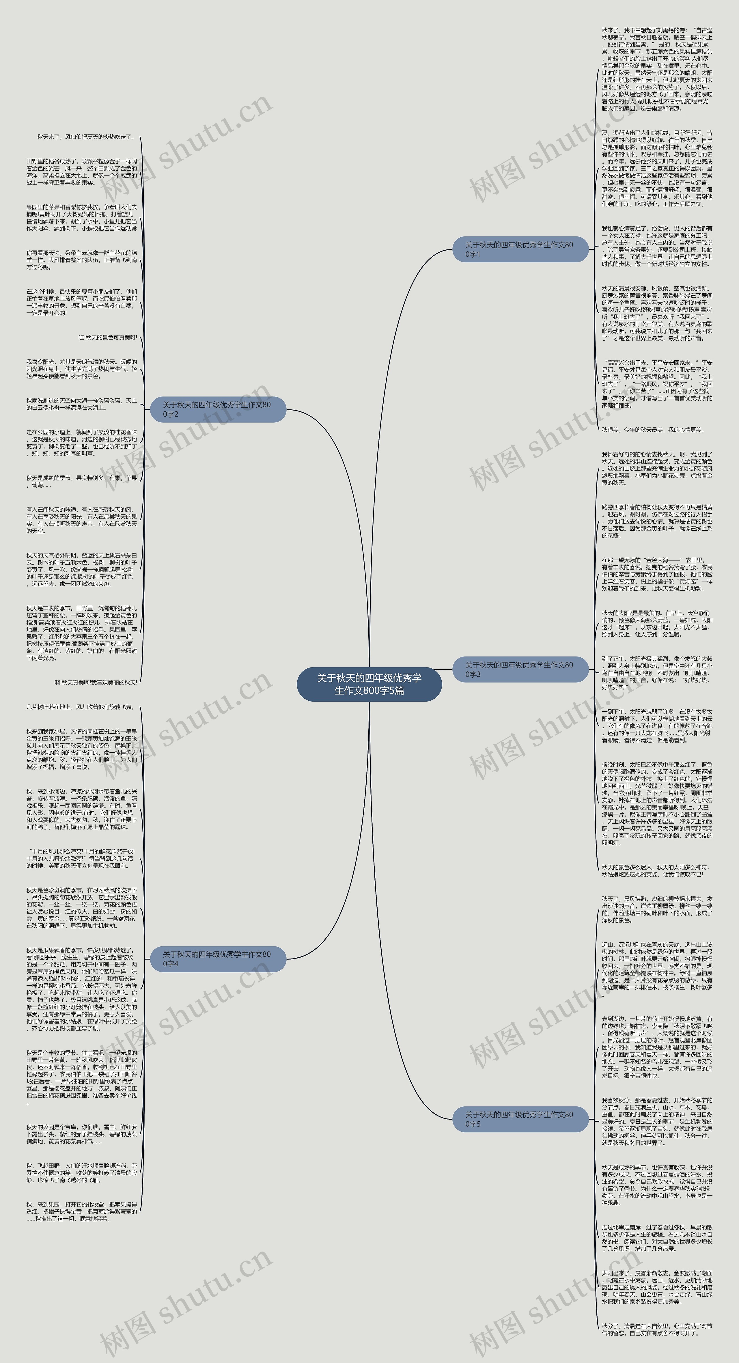 关于秋天的四年级优秀学生作文800字5篇思维导图
