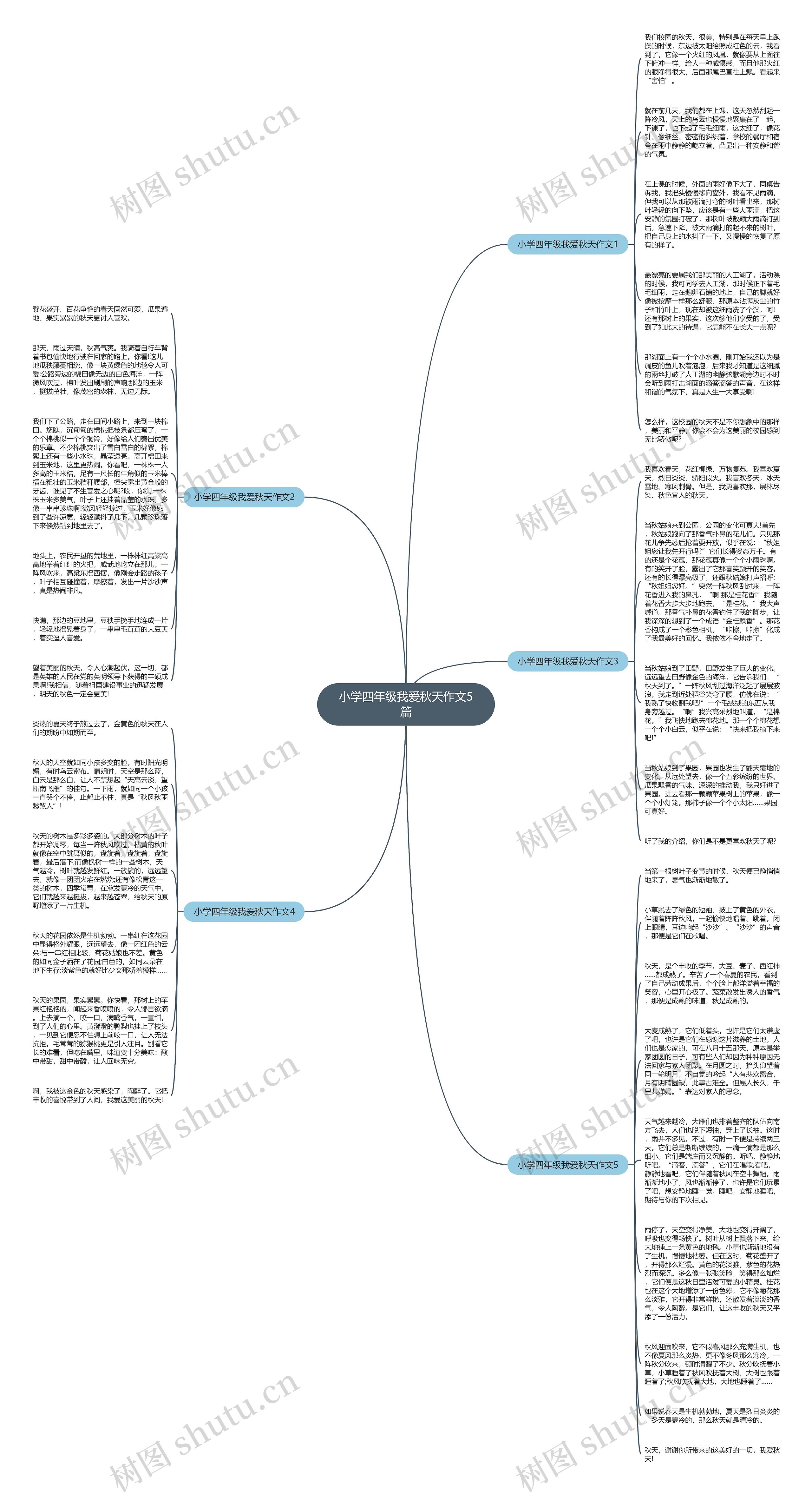 小学四年级我爱秋天作文5篇思维导图