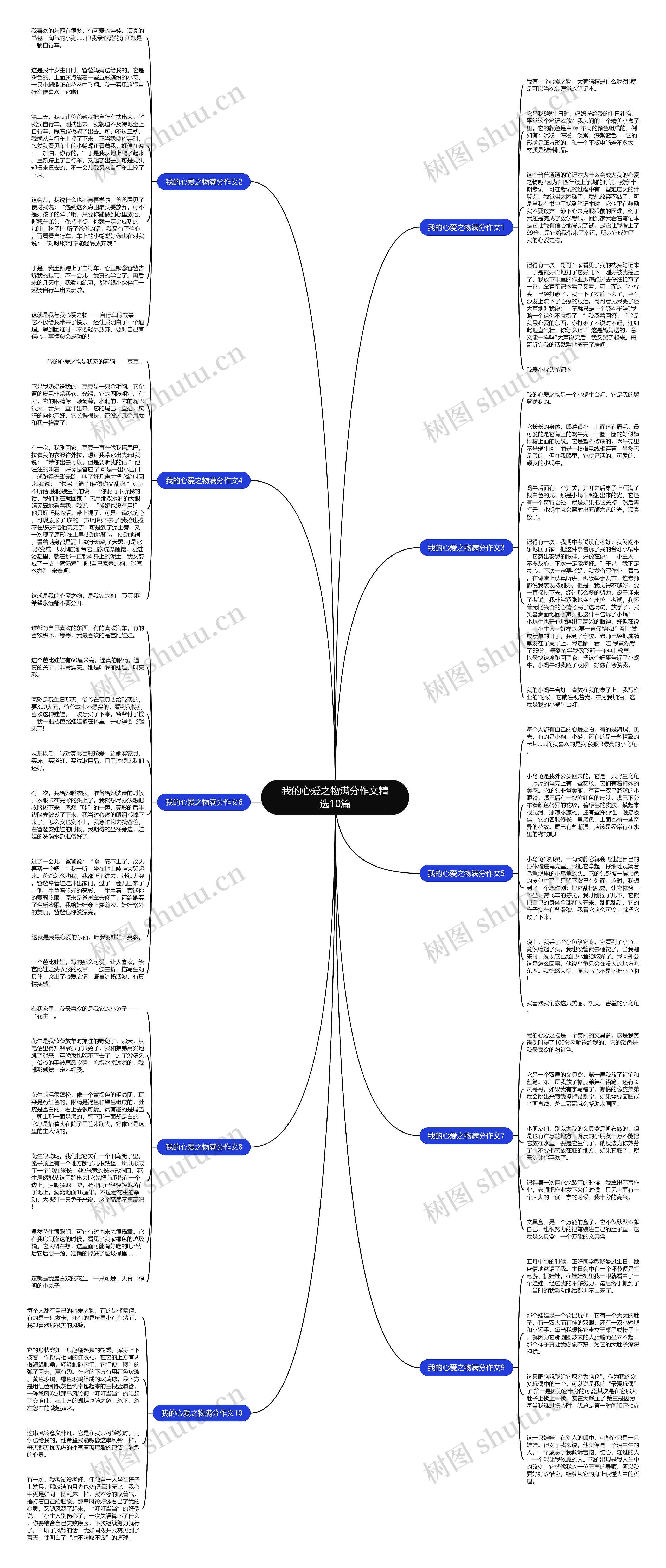 我的心爱之物满分作文精选10篇思维导图