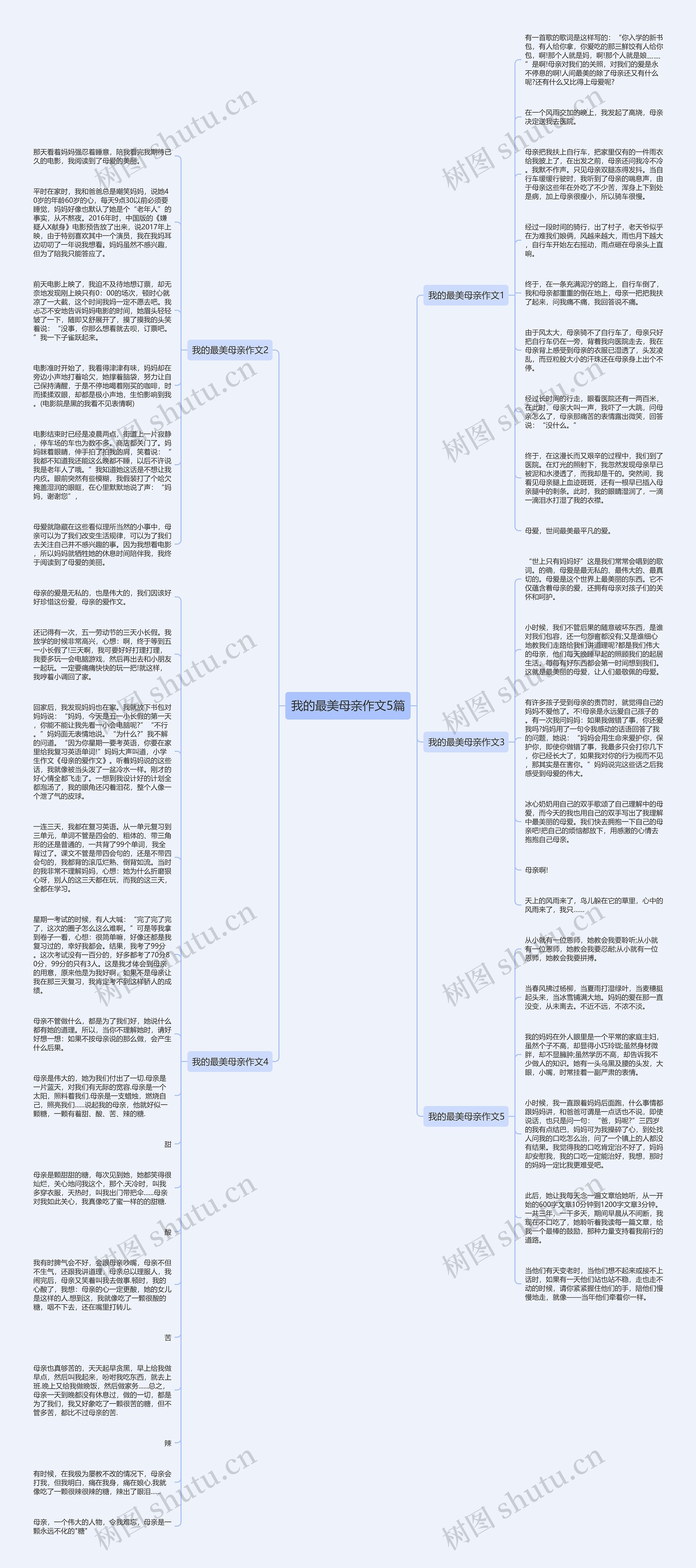 我的最美母亲作文5篇思维导图