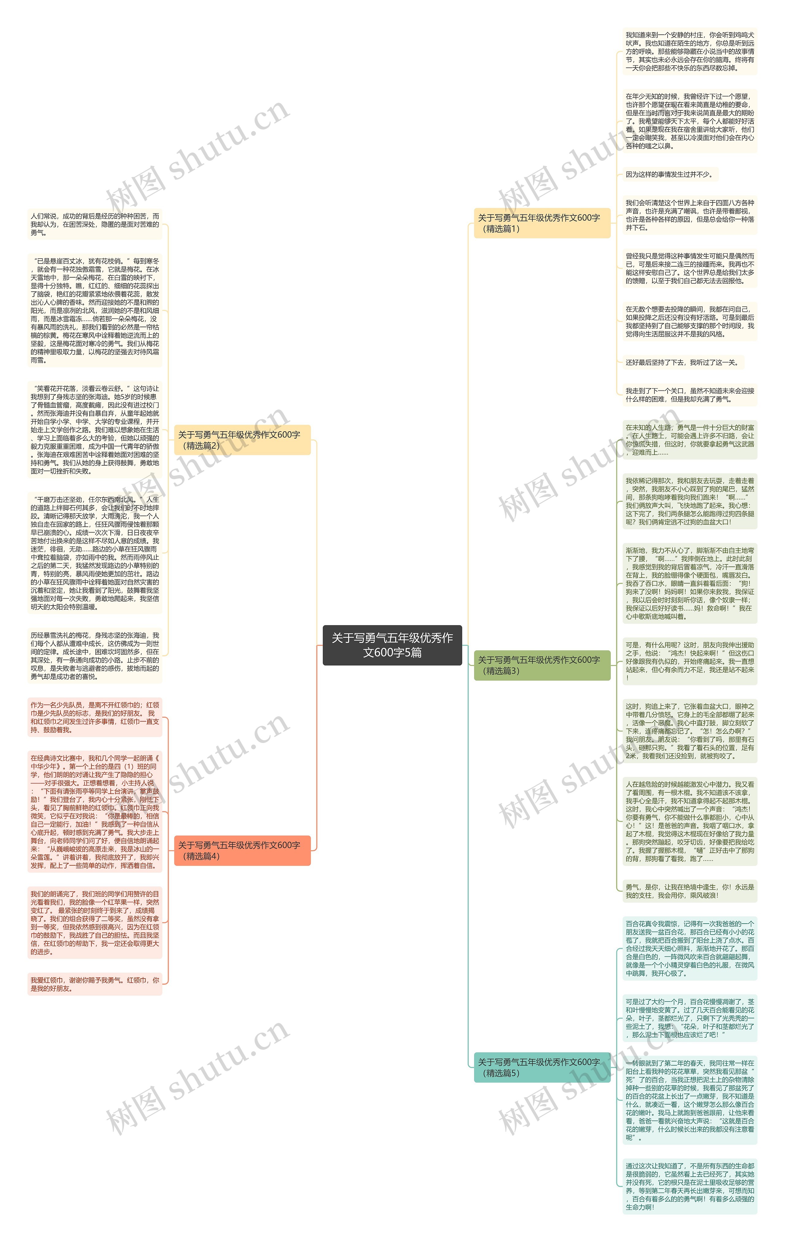 关于写勇气五年级优秀作文600字5篇思维导图