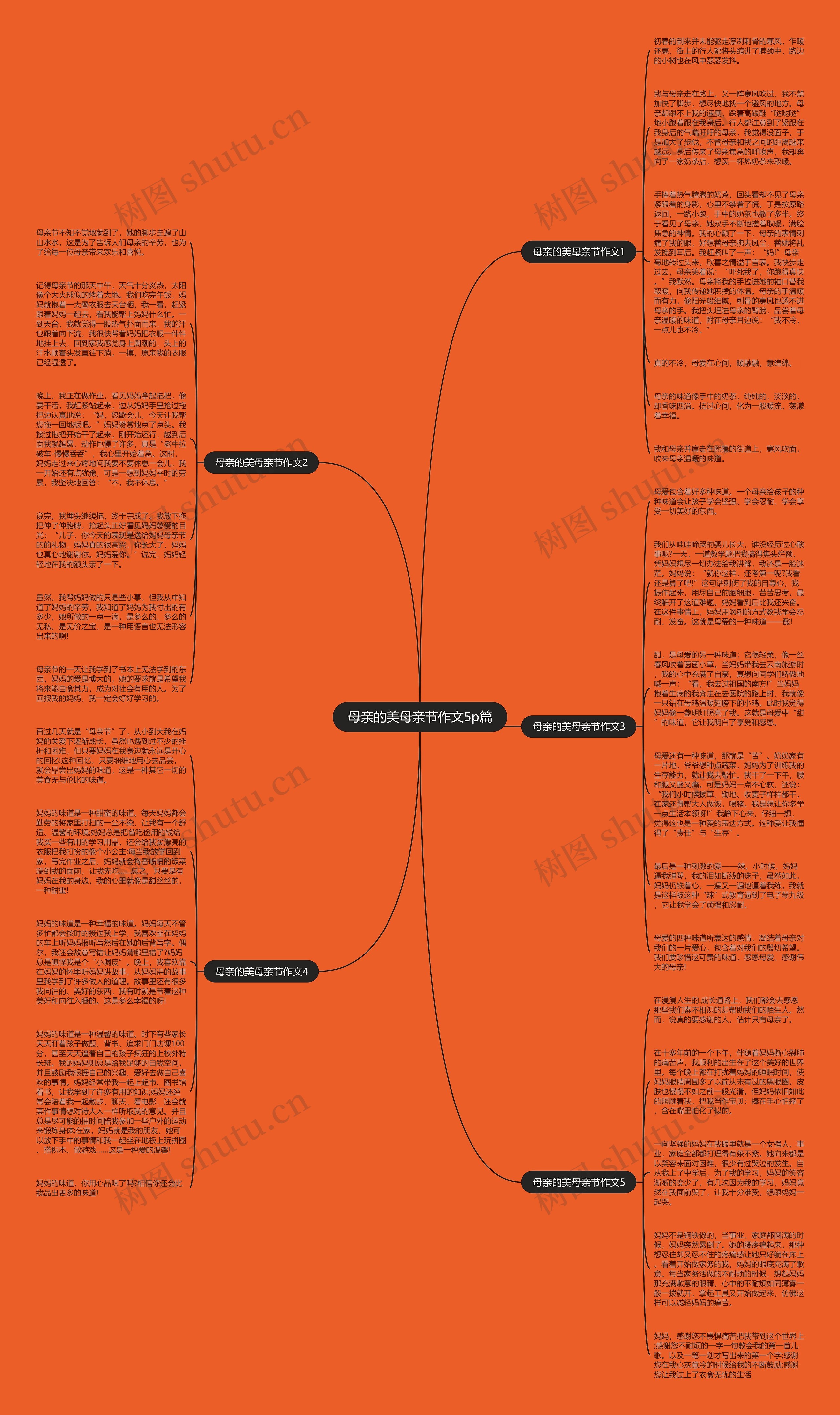 母亲的美母亲节作文5p篇思维导图