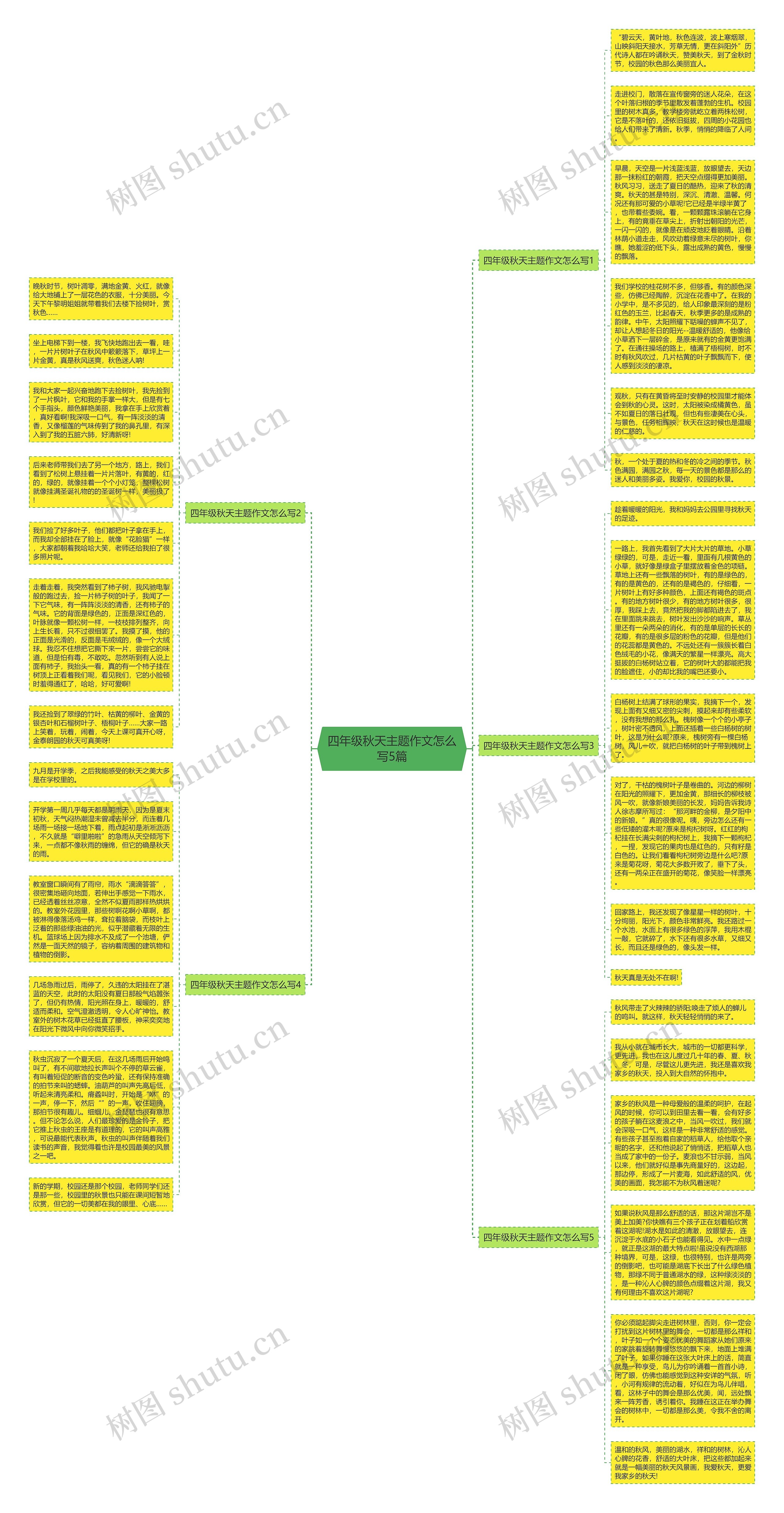 四年级秋天主题作文怎么写5篇思维导图
