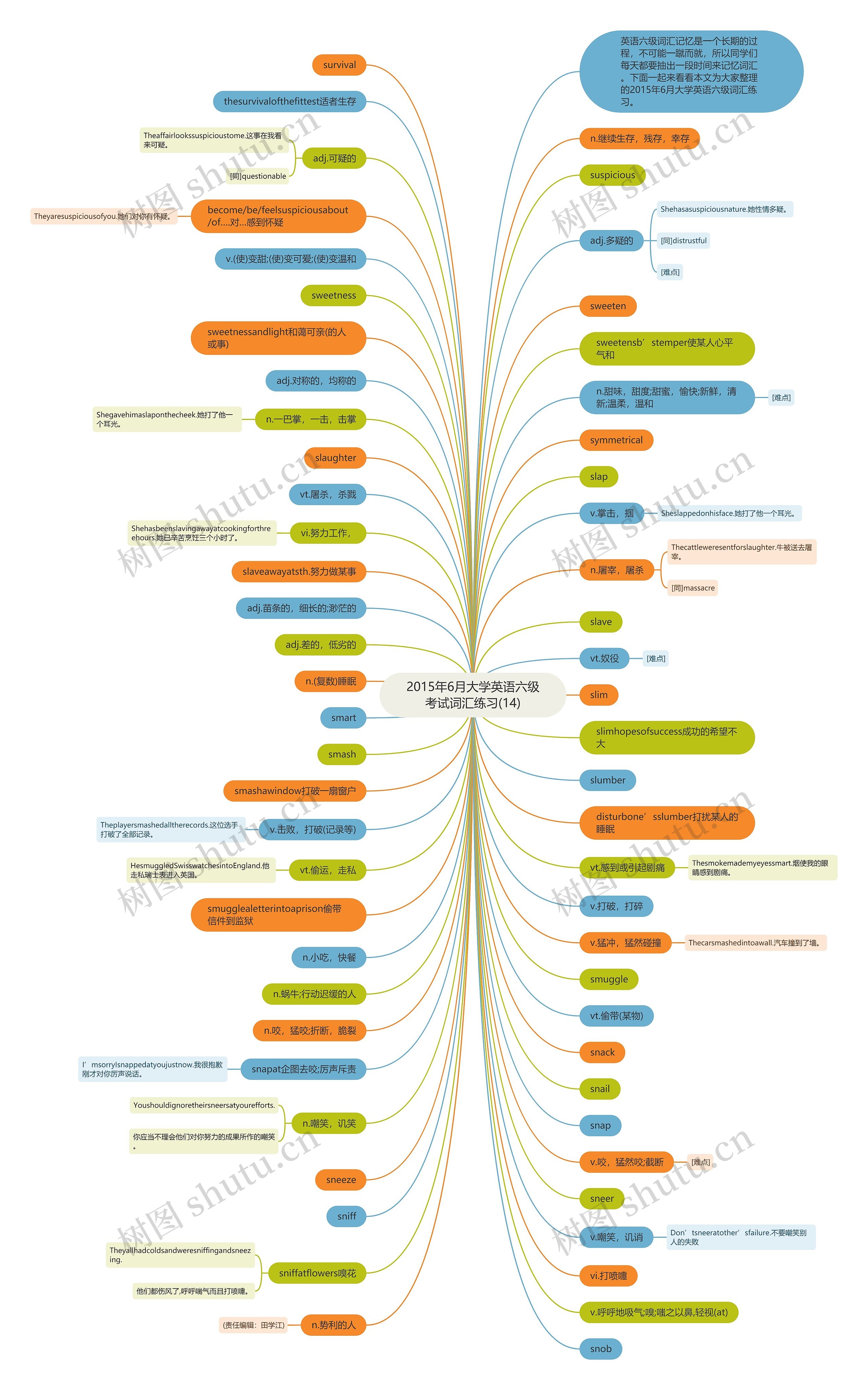 2015年6月大学英语六级考试词汇练习(14)思维导图