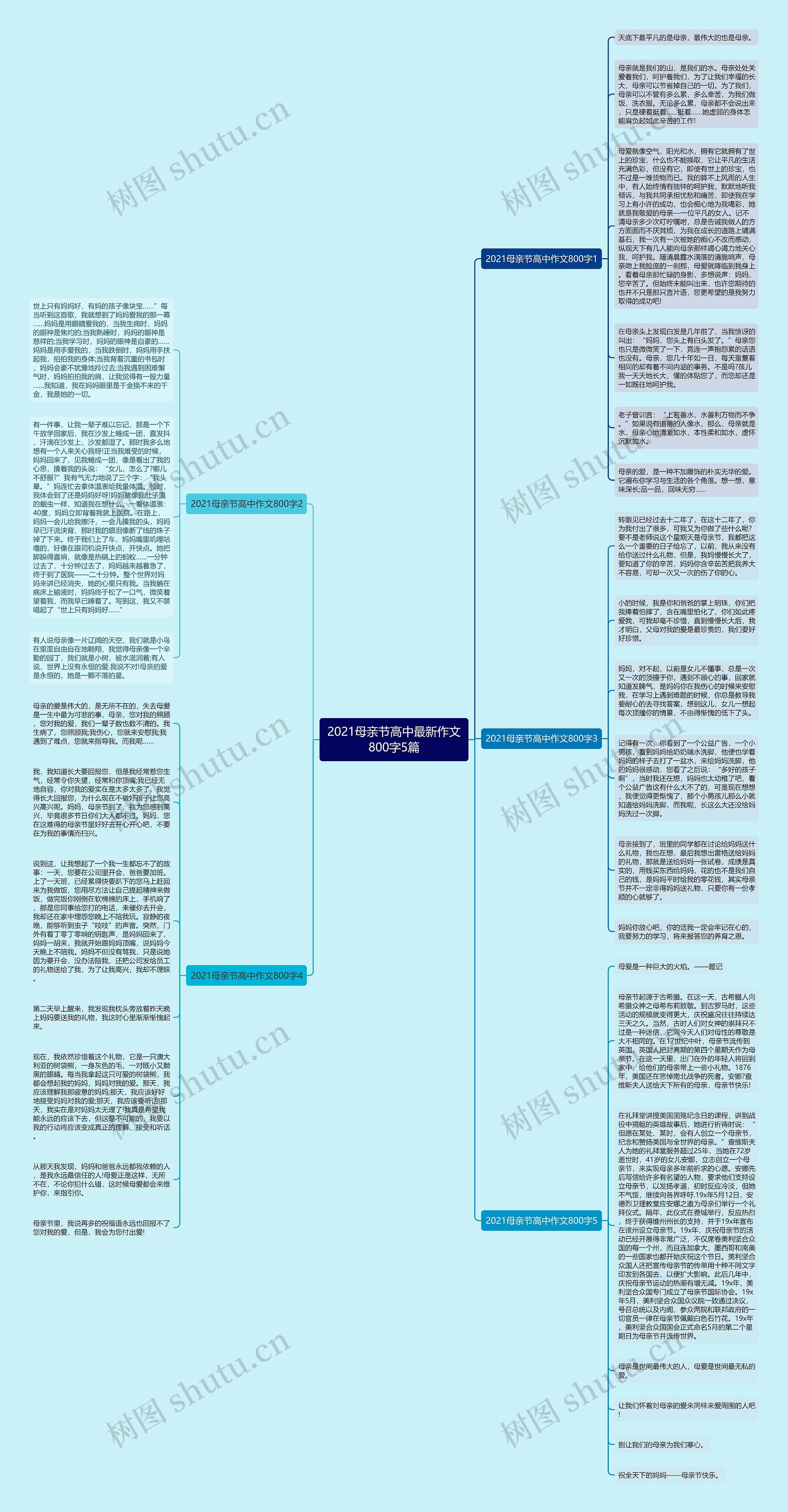 2021母亲节高中最新作文800字5篇