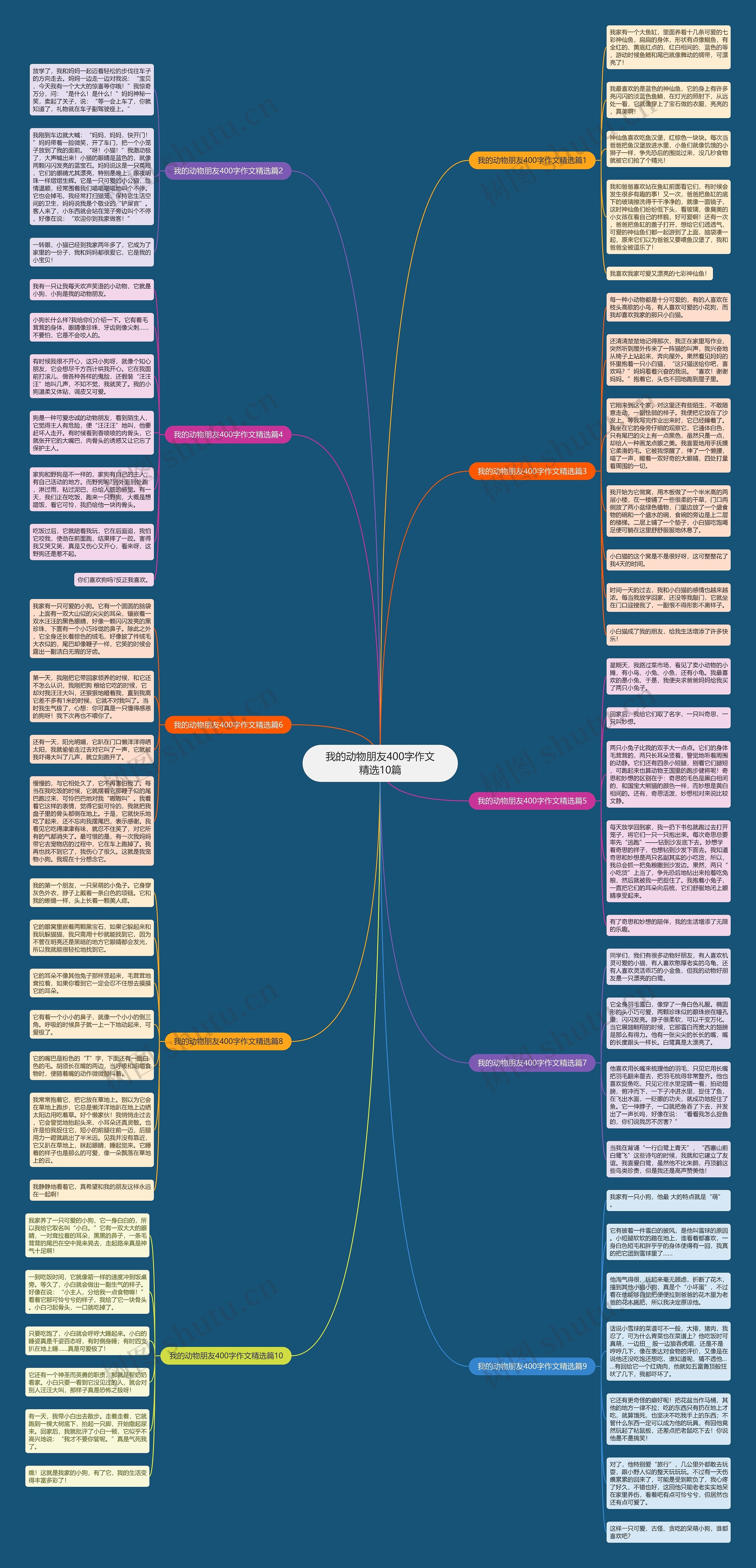 我的动物朋友400字作文精选10篇思维导图