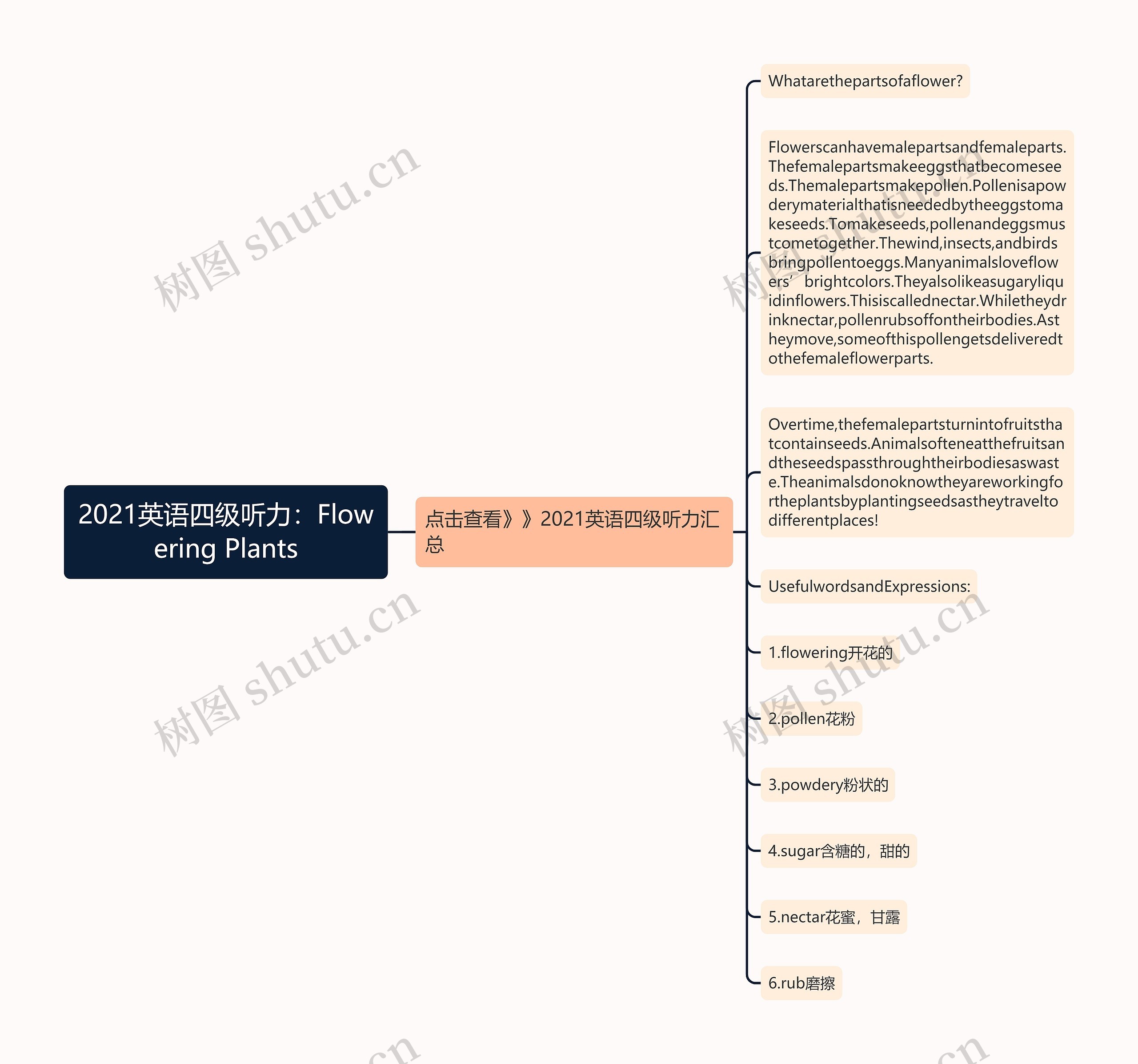 2021英语四级听力：Flowering Plants思维导图