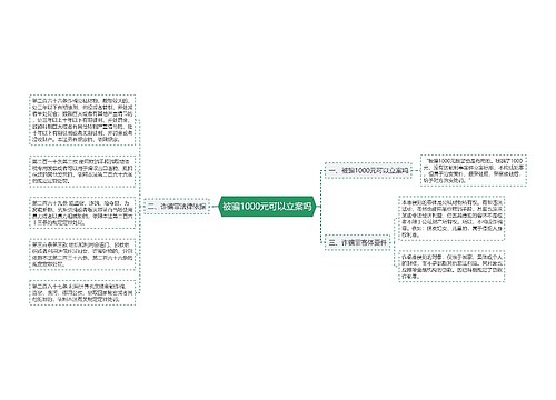 被骗1000元可以立案吗