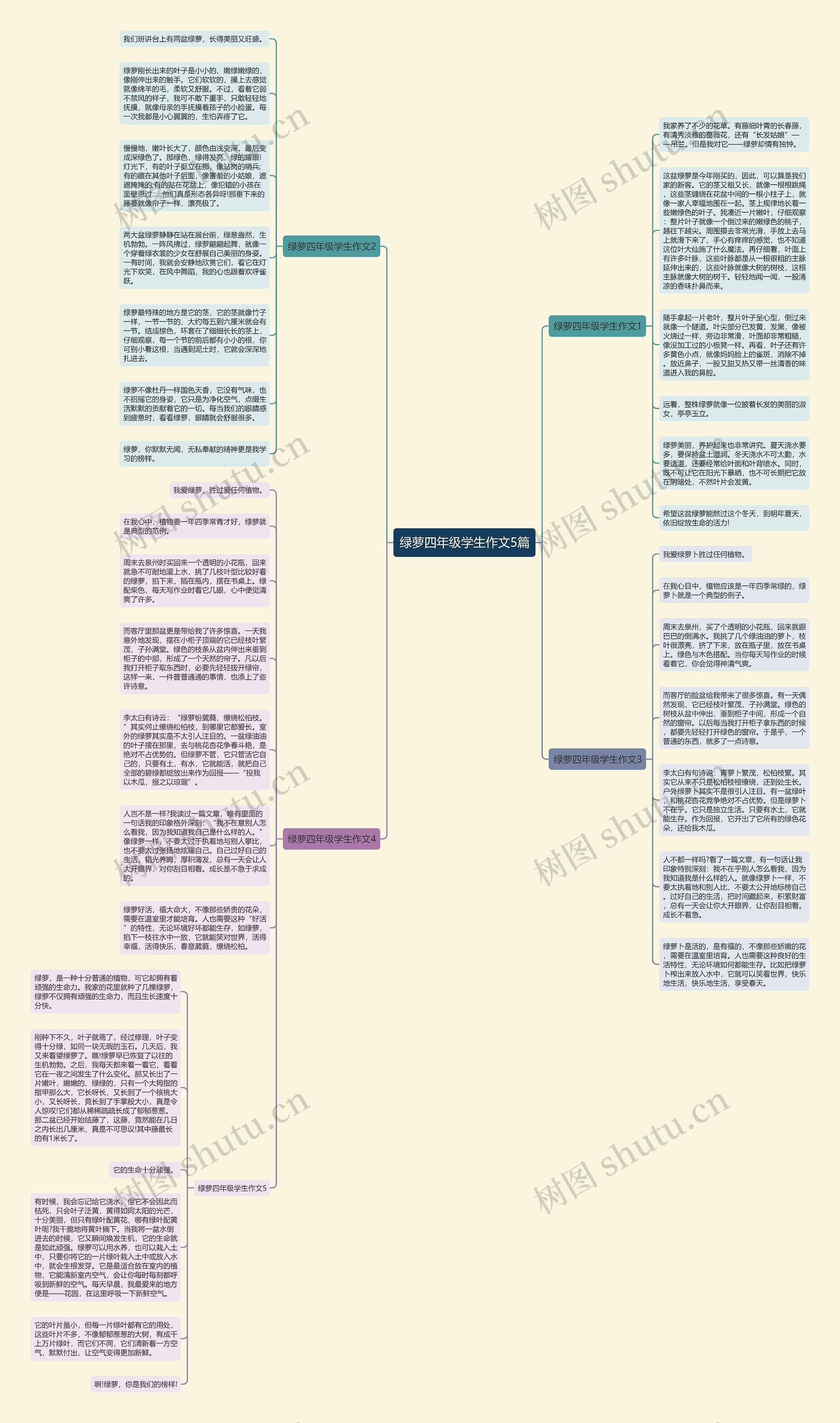 绿萝四年级学生作文5篇思维导图
