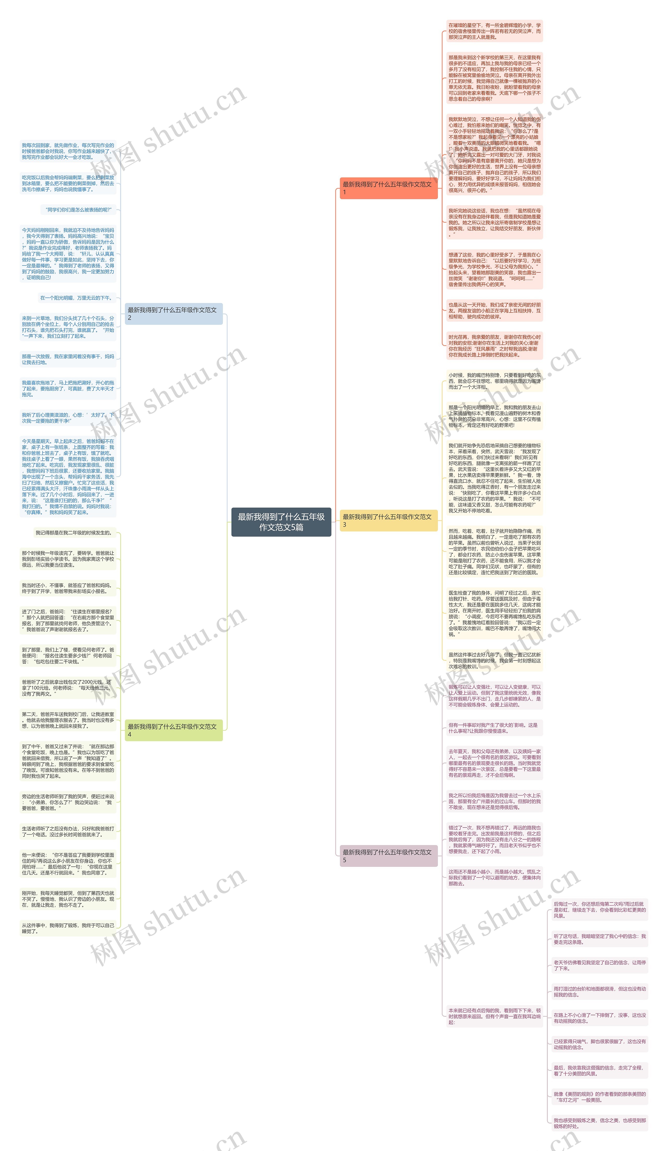 最新我得到了什么五年级作文范文5篇思维导图