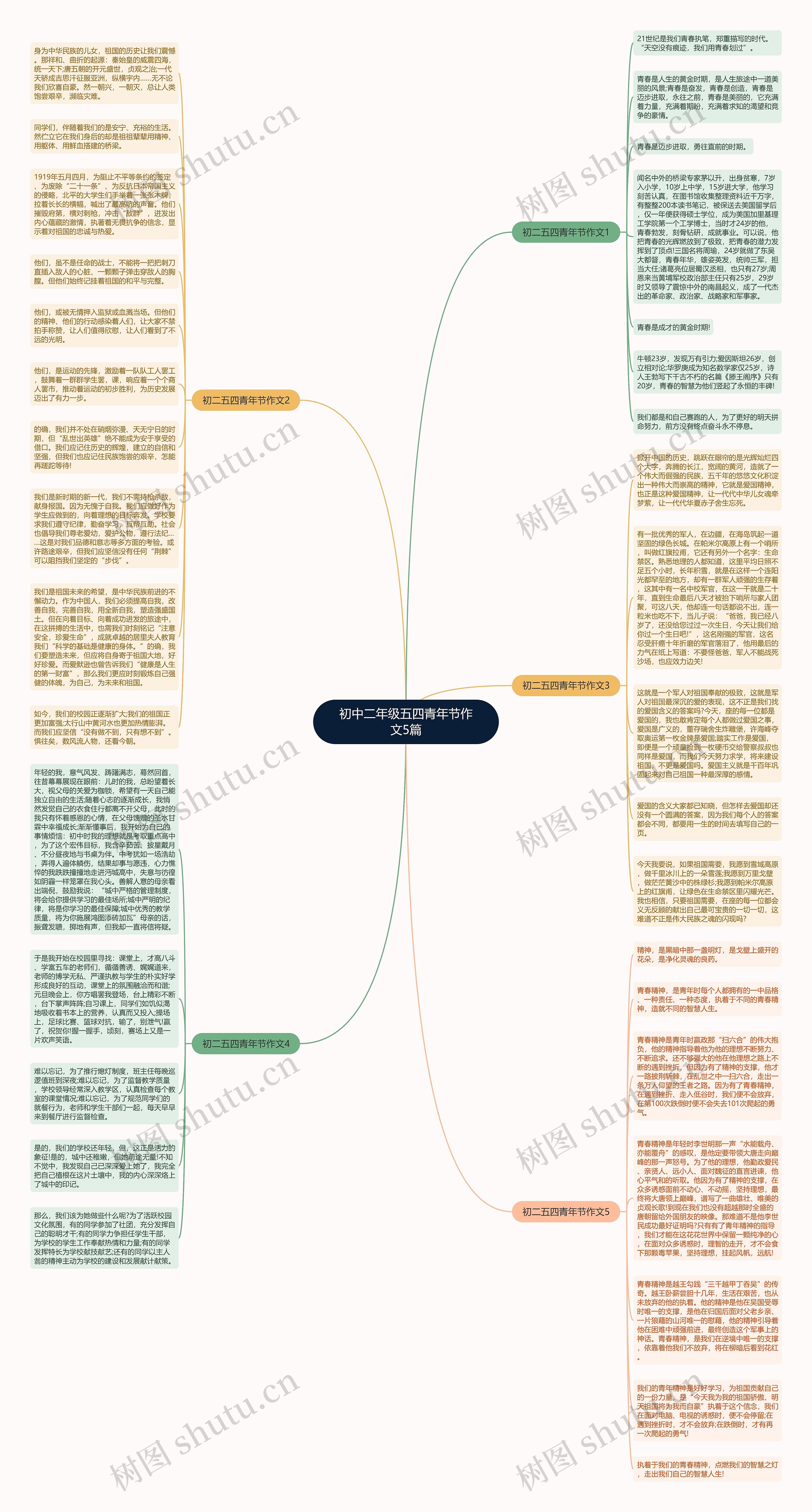 初中二年级五四青年节作文5篇思维导图