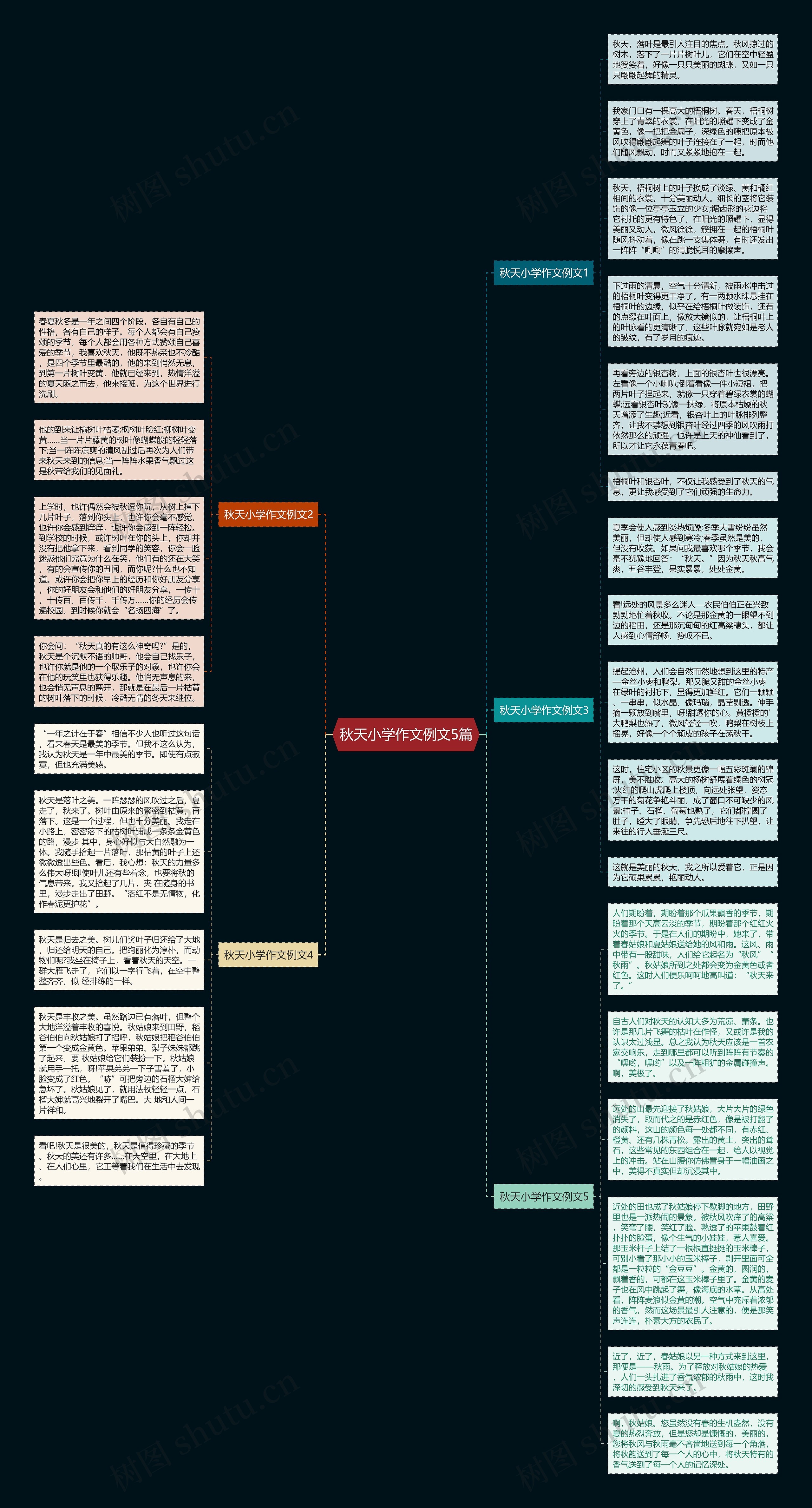 秋天小学作文例文5篇思维导图