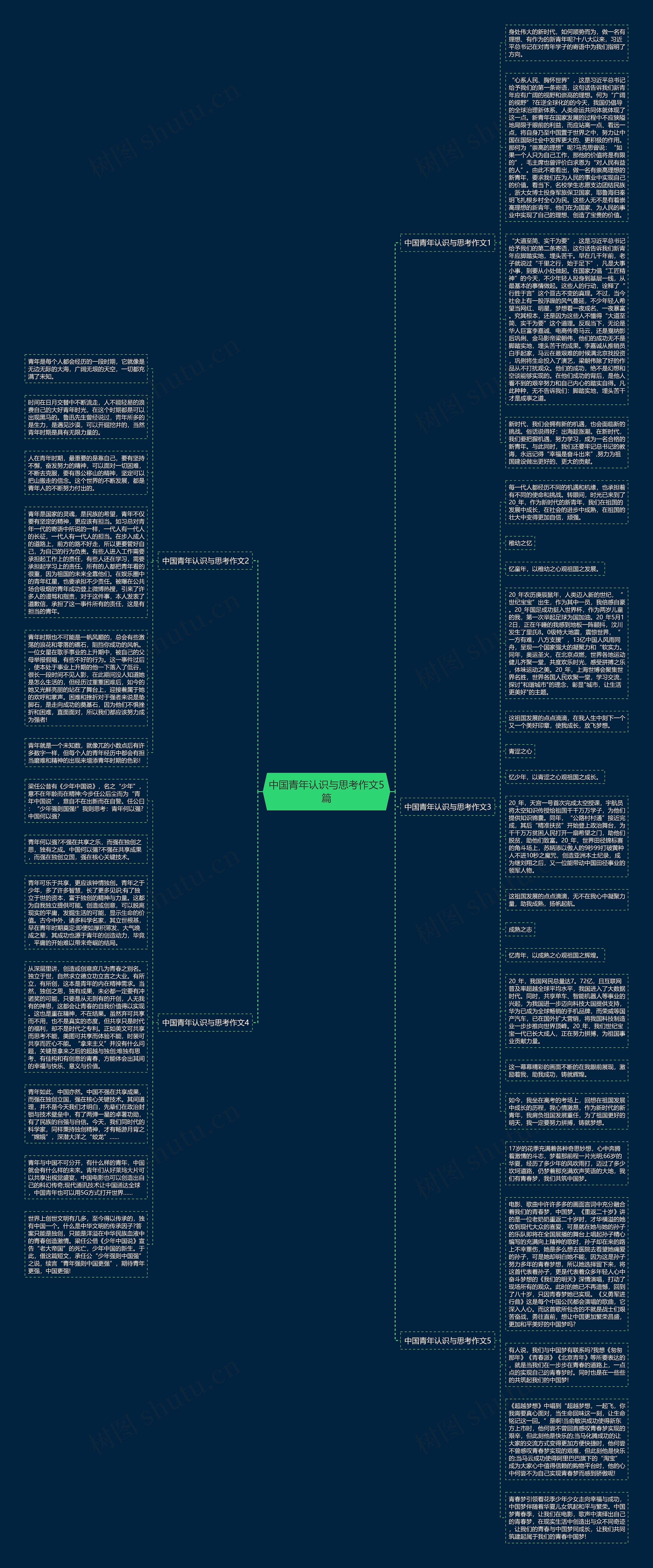 中国青年认识与思考作文5篇思维导图