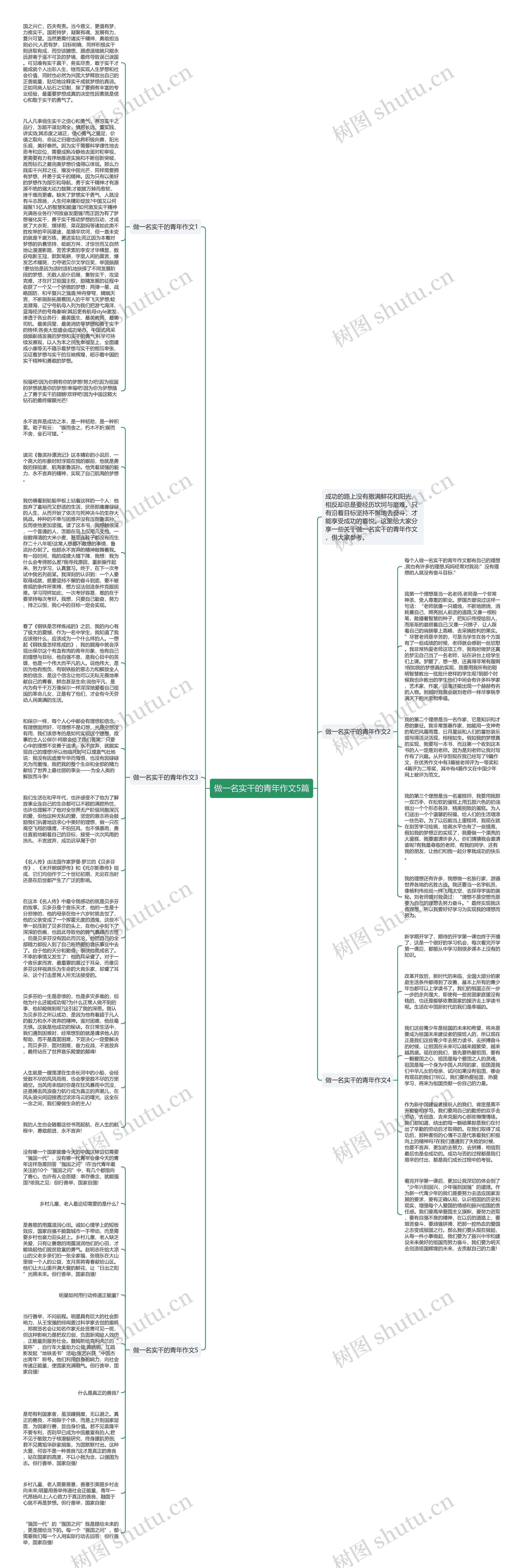 做一名实干的青年作文5篇思维导图