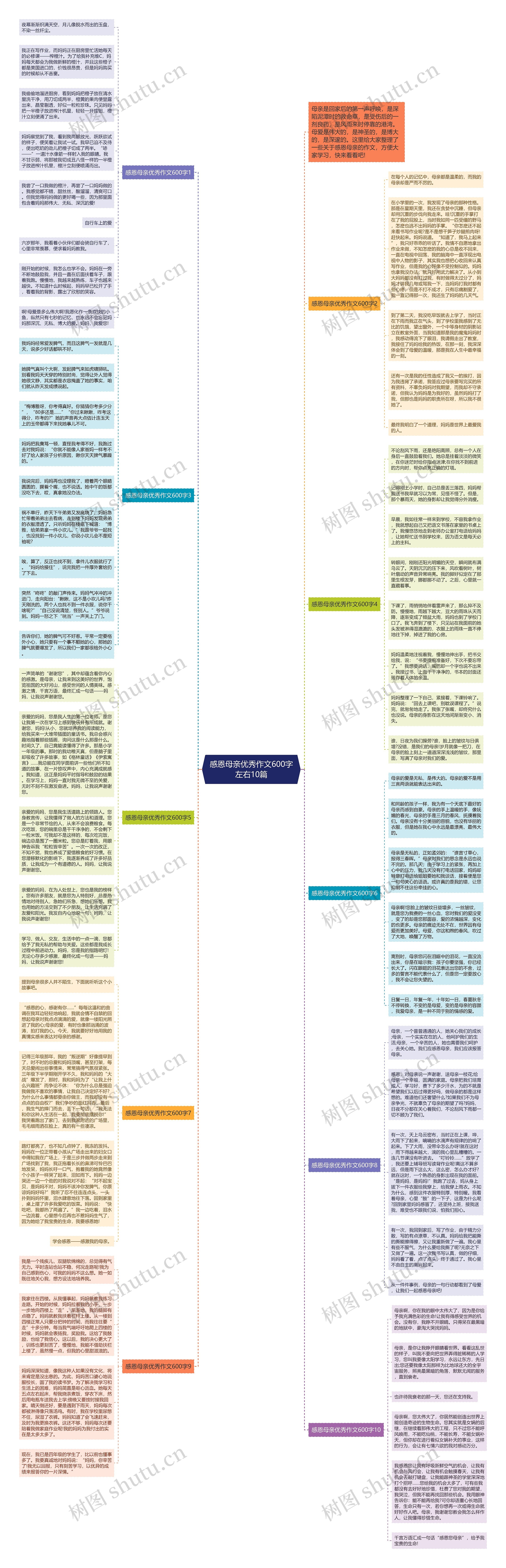 感恩母亲优秀作文600字左右10篇