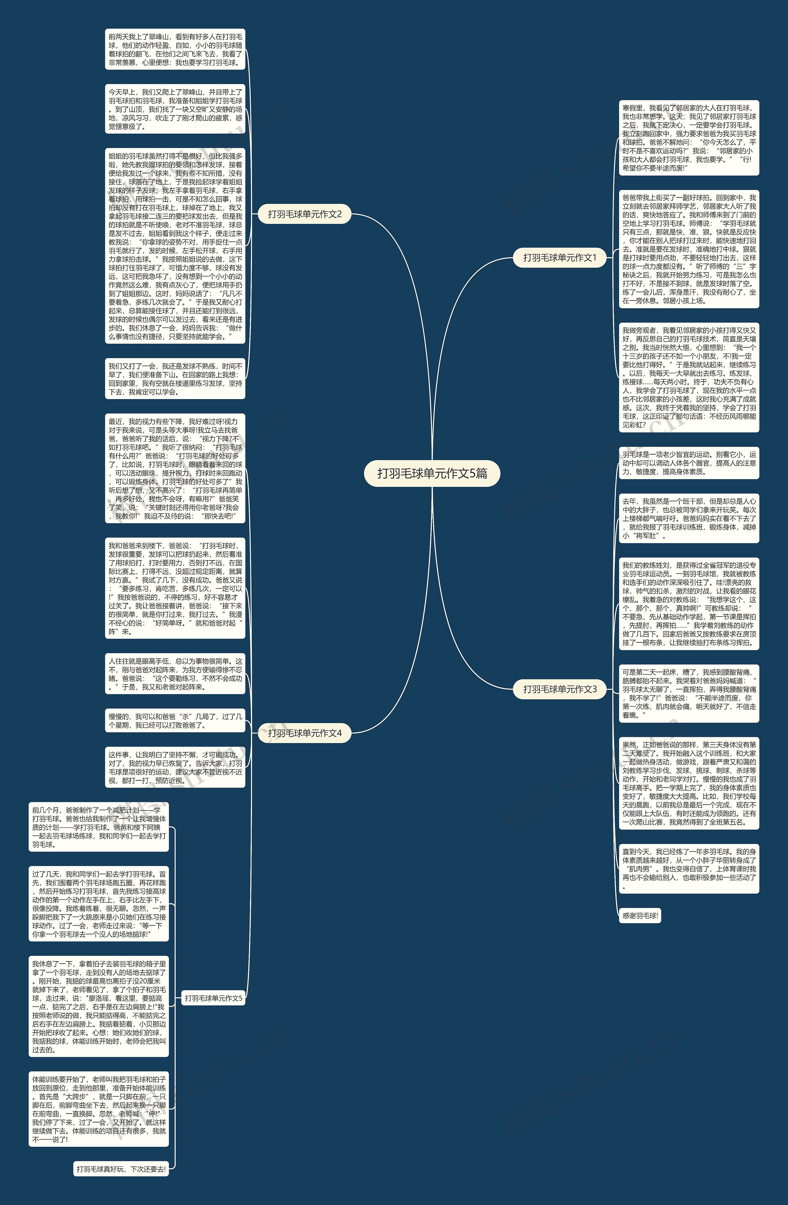打羽毛球单元作文5篇