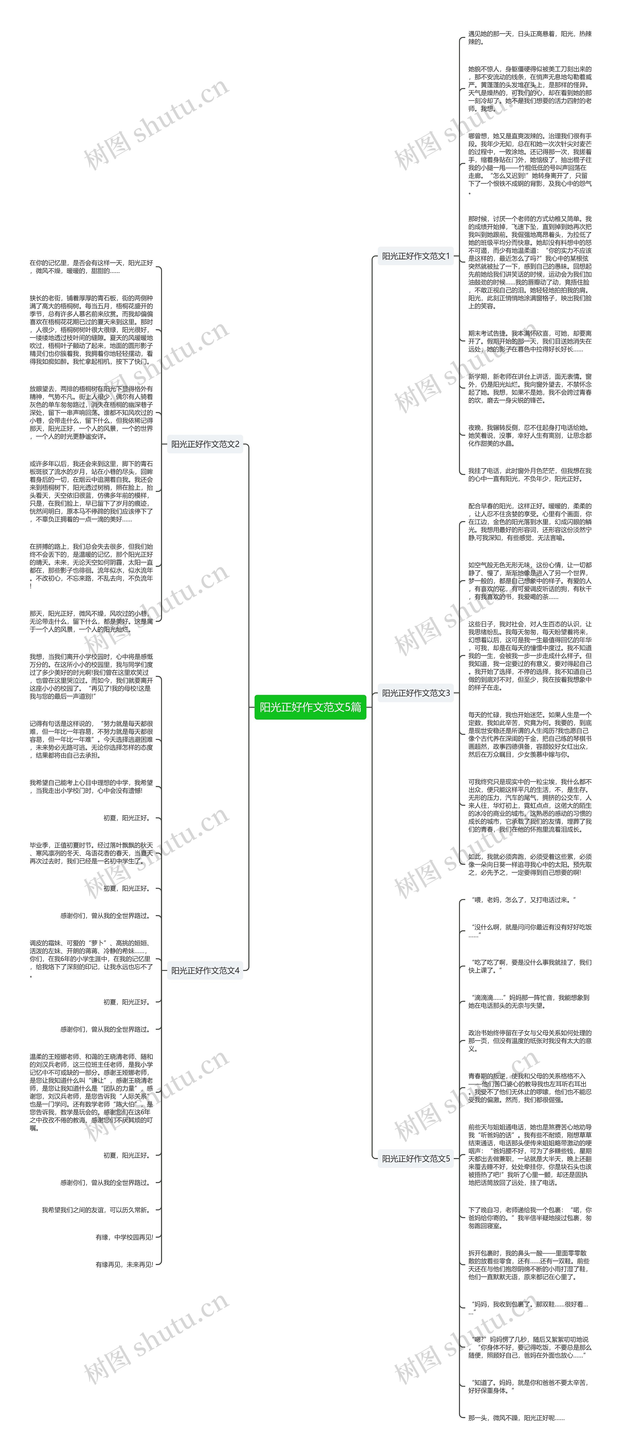 阳光正好作文范文5篇思维导图