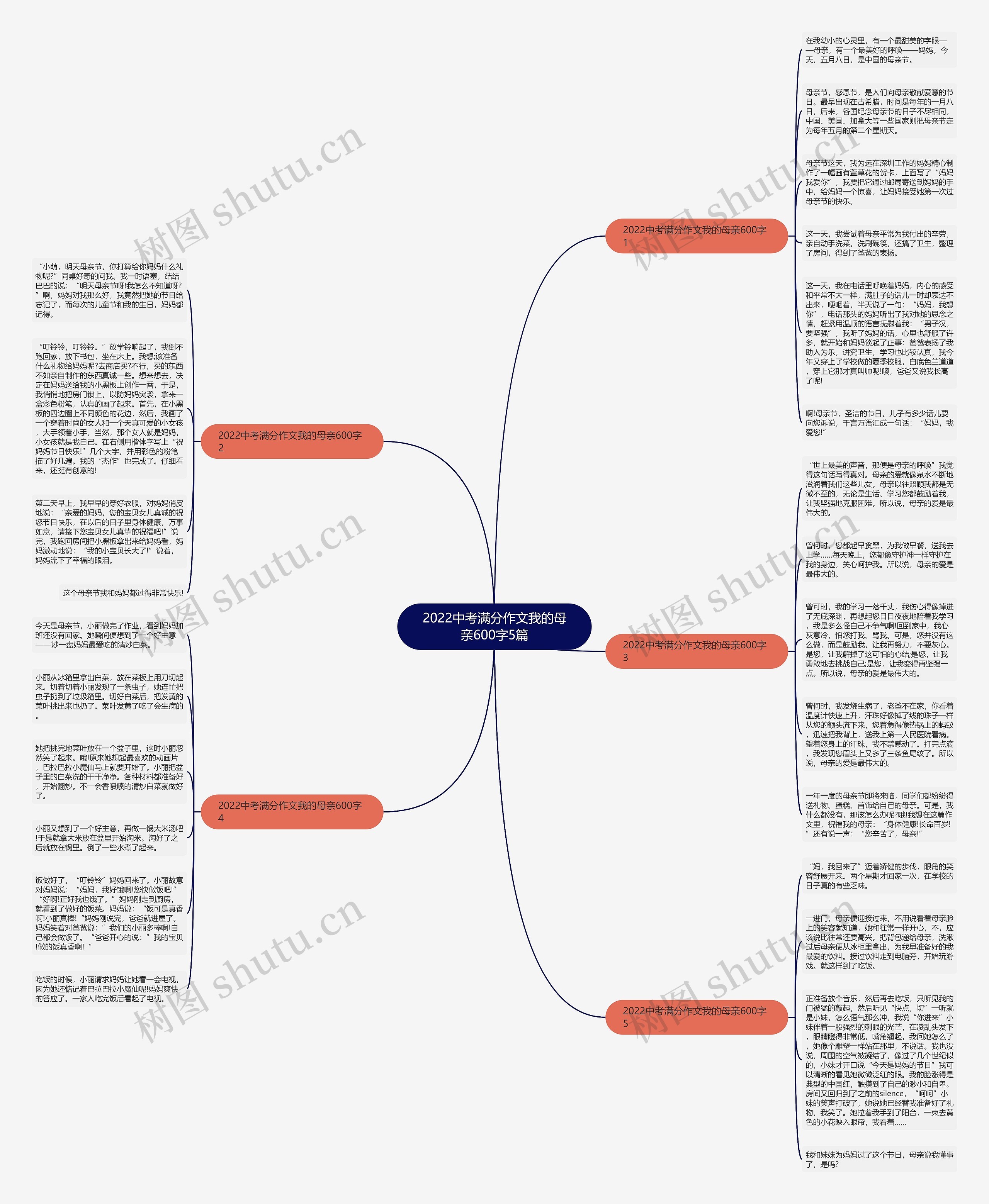 2022中考满分作文我的母亲600字5篇思维导图
