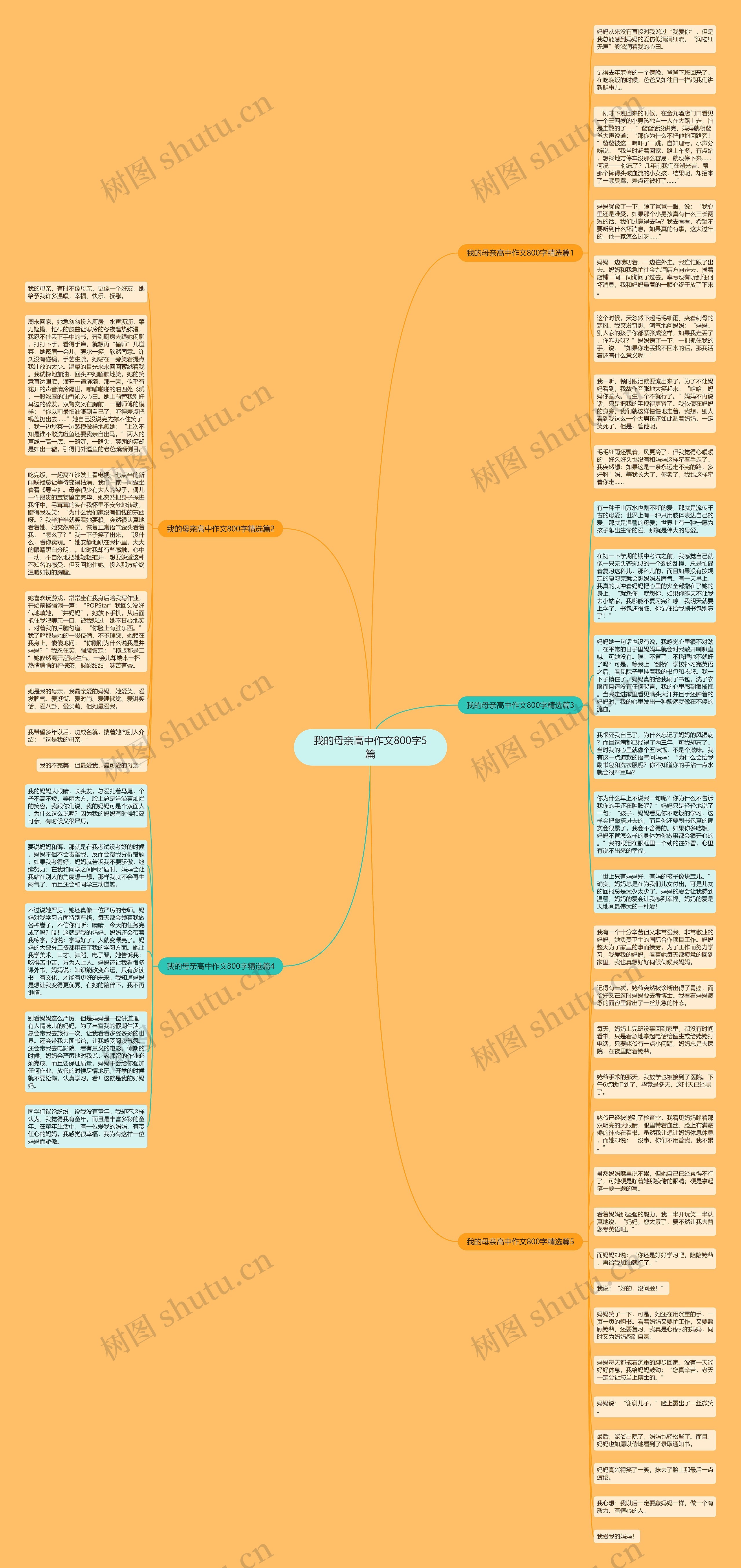 我的母亲高中作文800字5篇思维导图