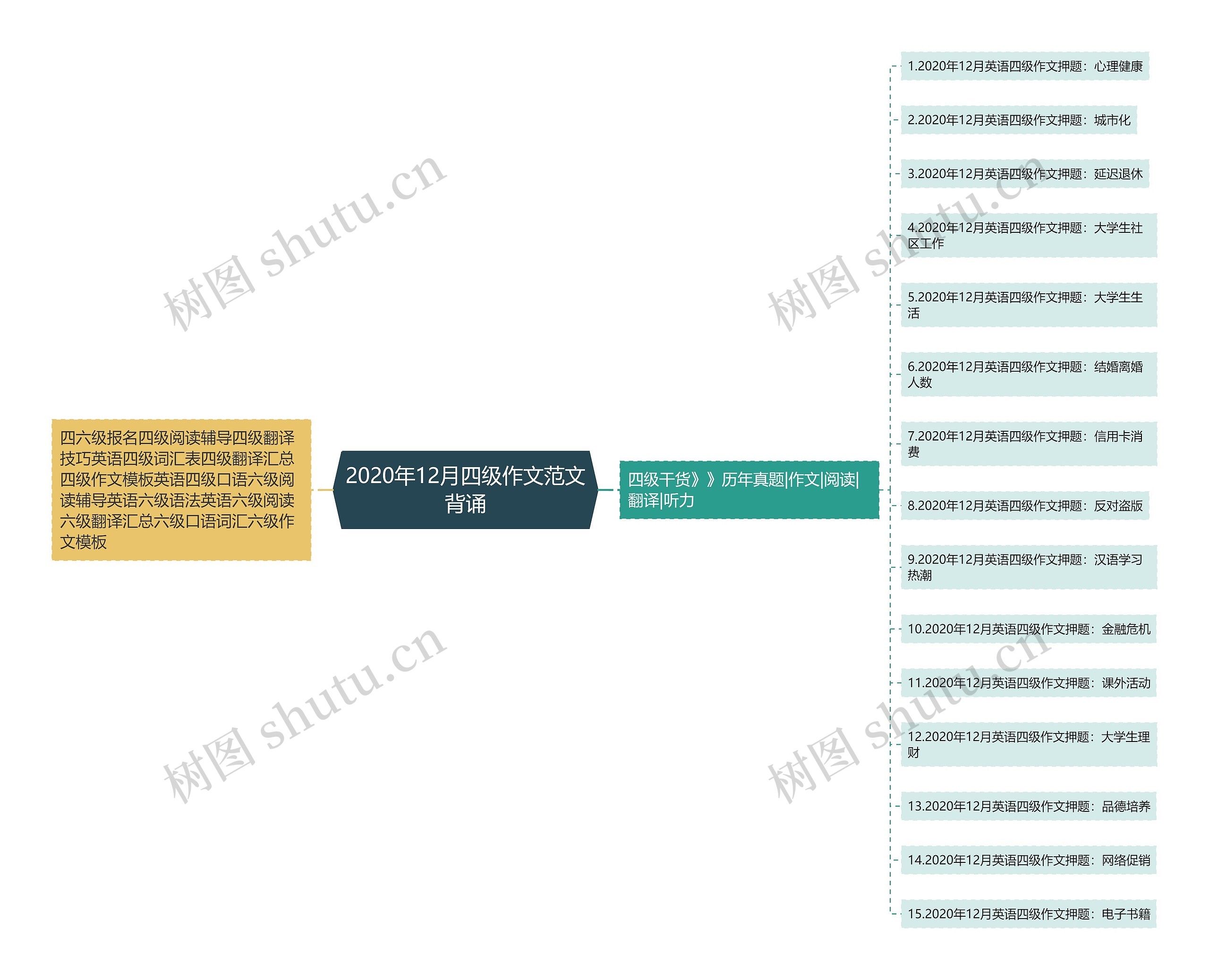 2020年12月四级作文范文背诵思维导图