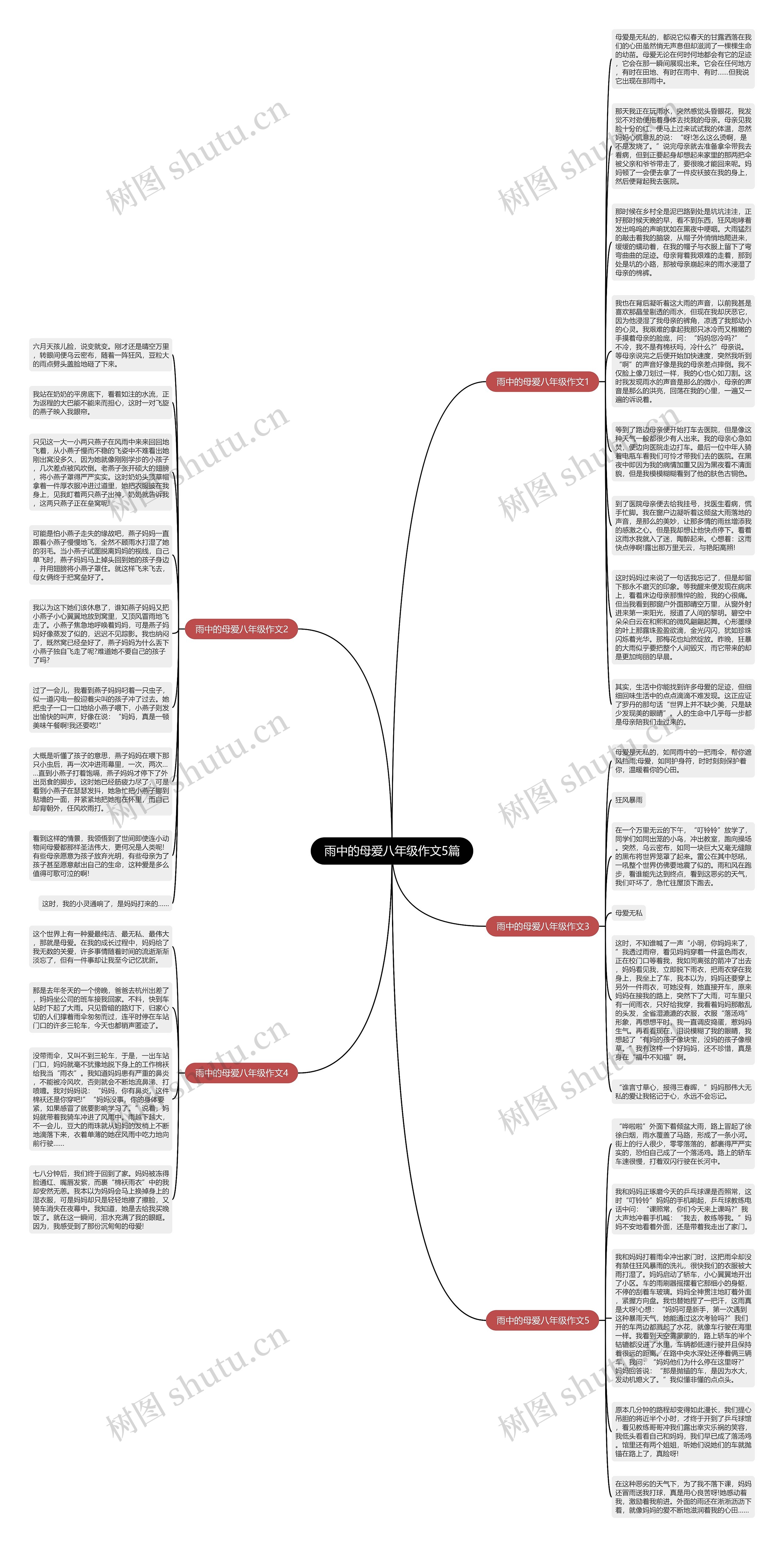 雨中的母爱八年级作文5篇思维导图