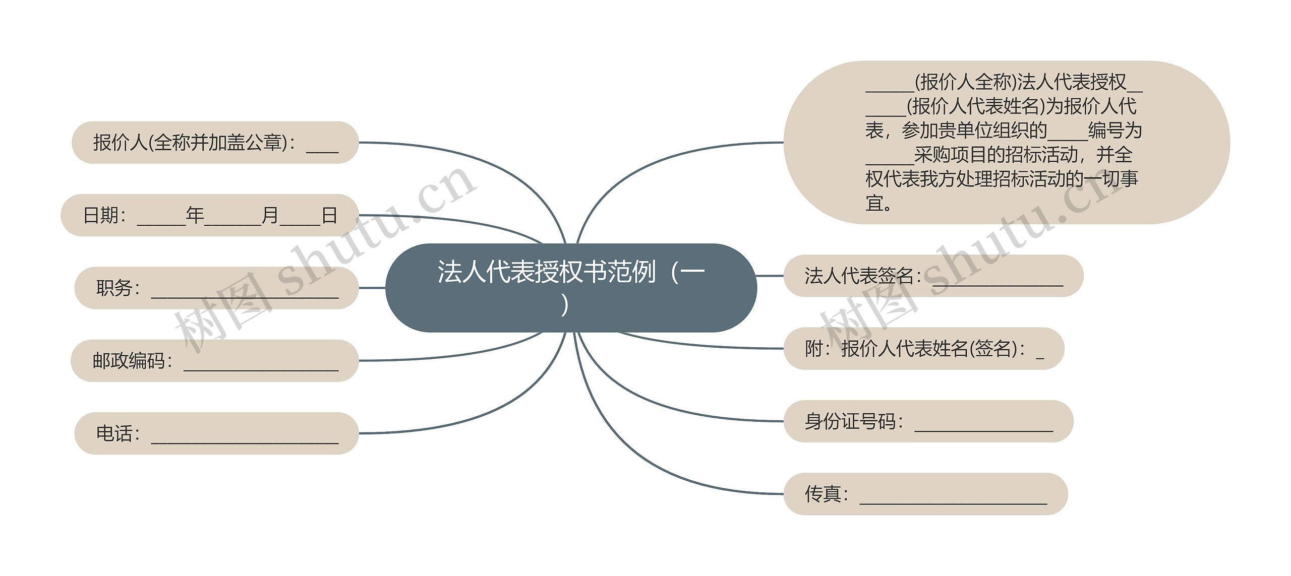 法人代表授权书范例（一）思维导图