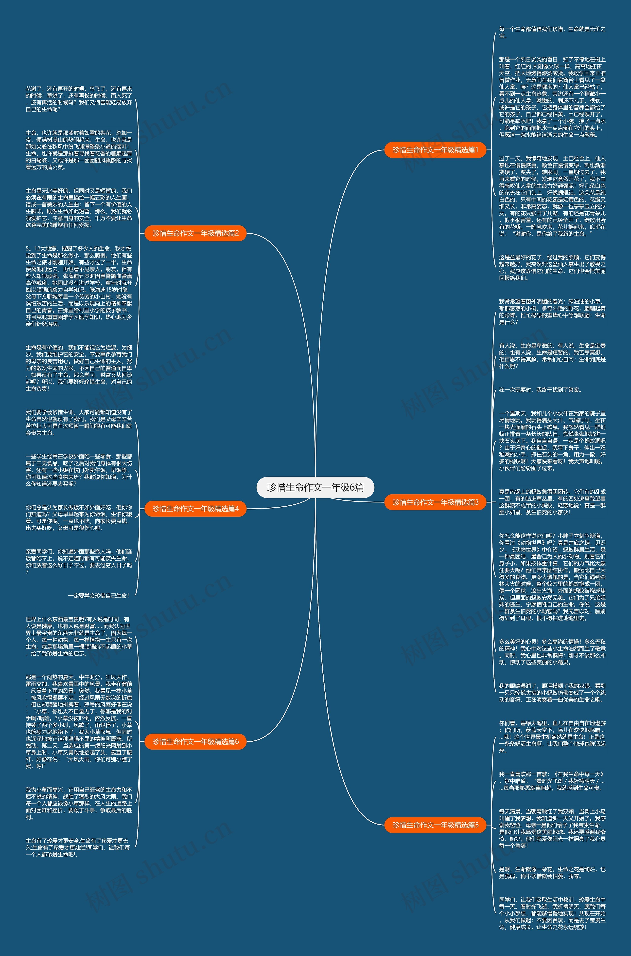 珍惜生命作文一年级6篇思维导图