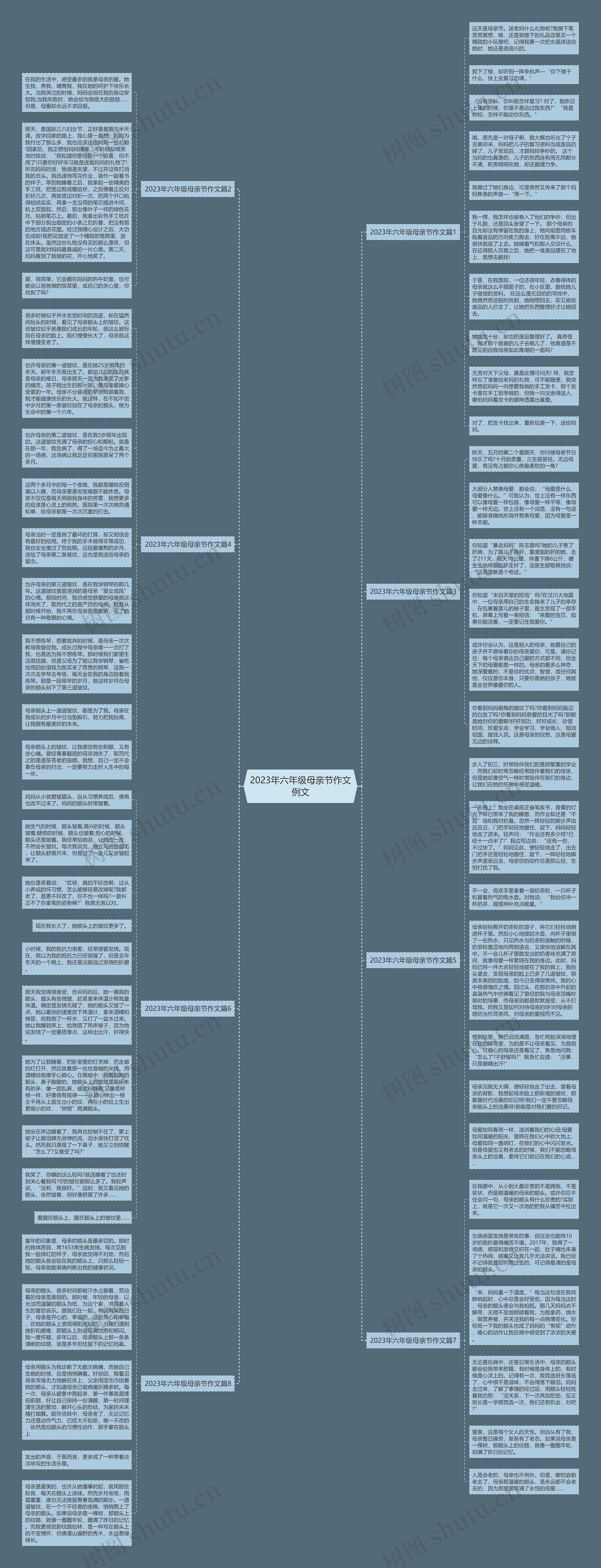 2023年六年级母亲节作文例文思维导图