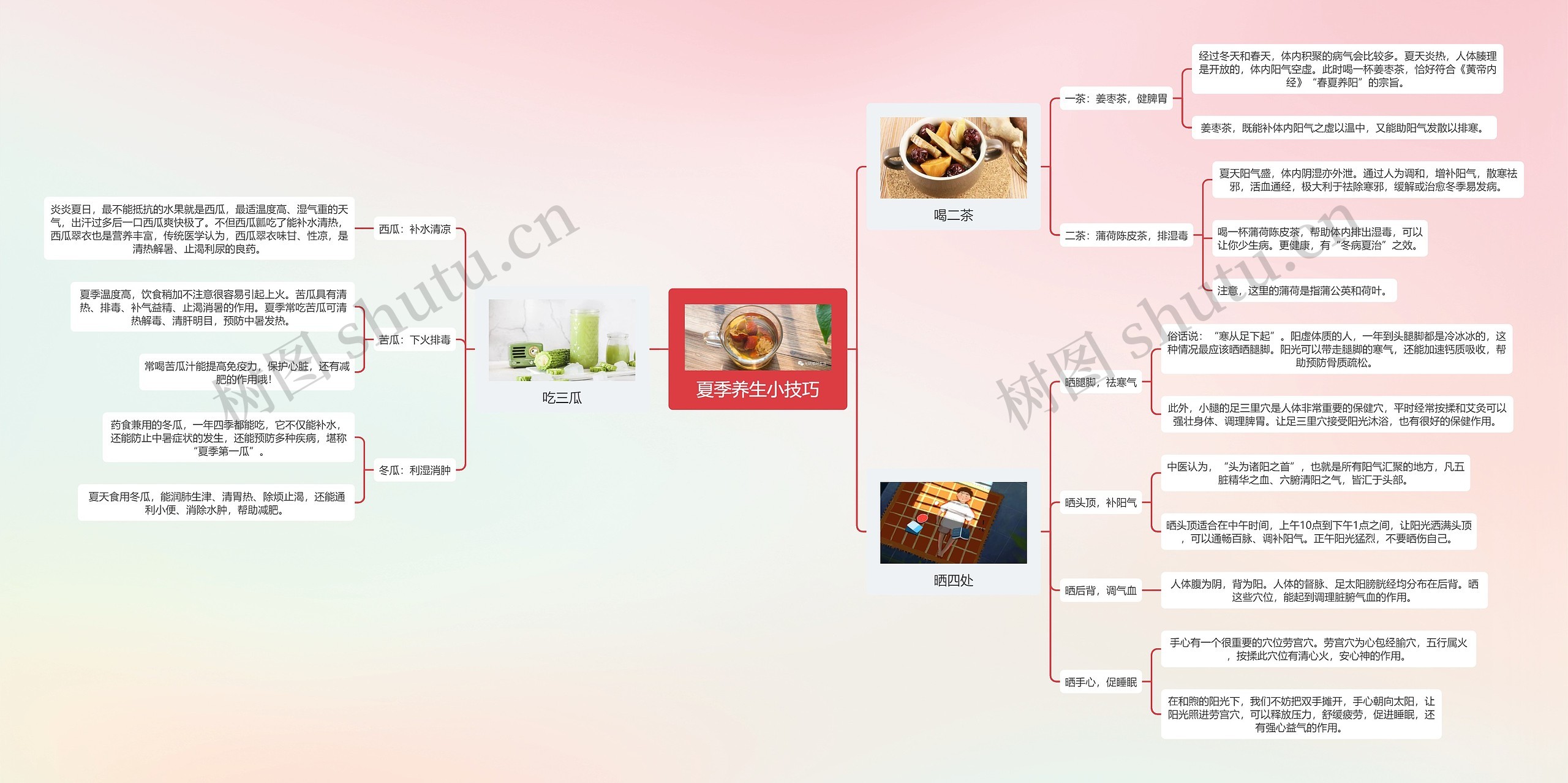 夏季养生小技巧思维导图