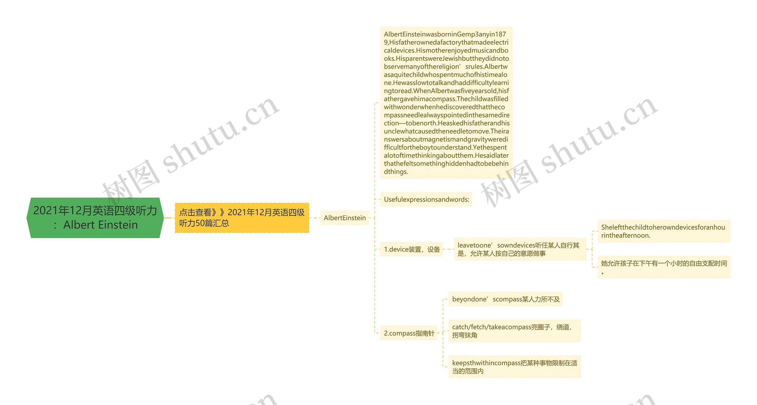 2021年12月英语四级听力：Albert Einstein思维导图