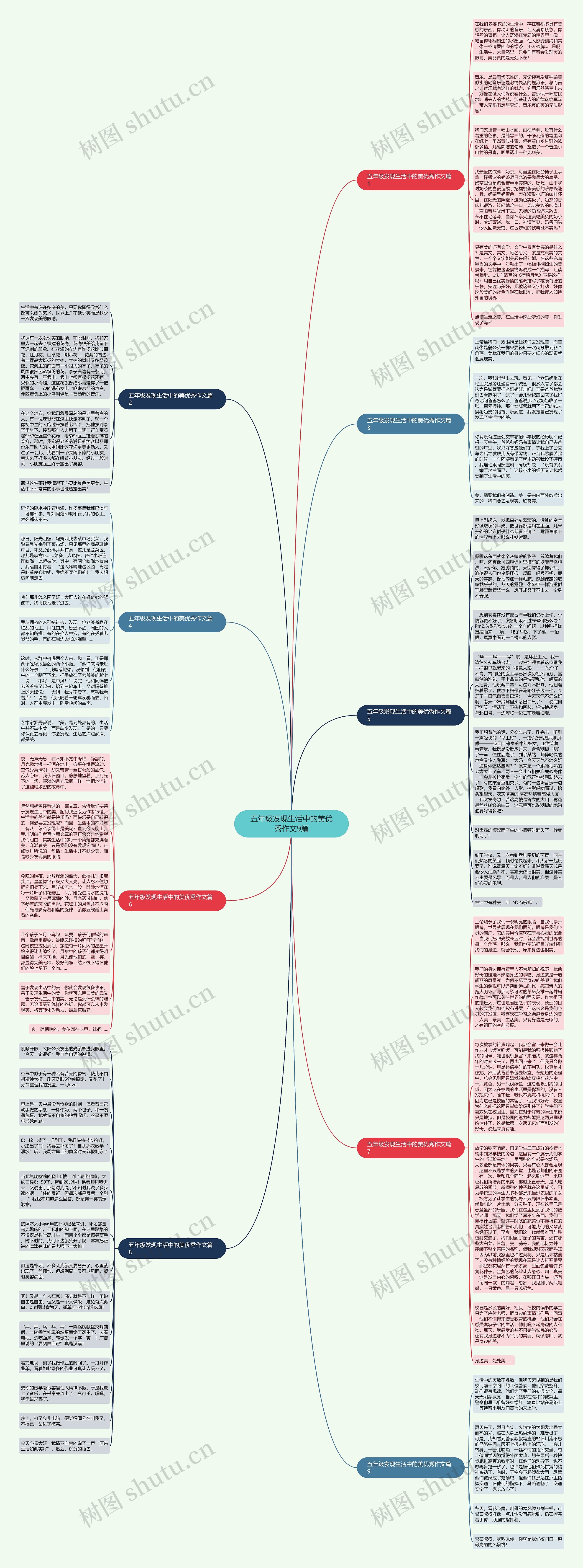 五年级发现生活中的美优秀作文9篇思维导图