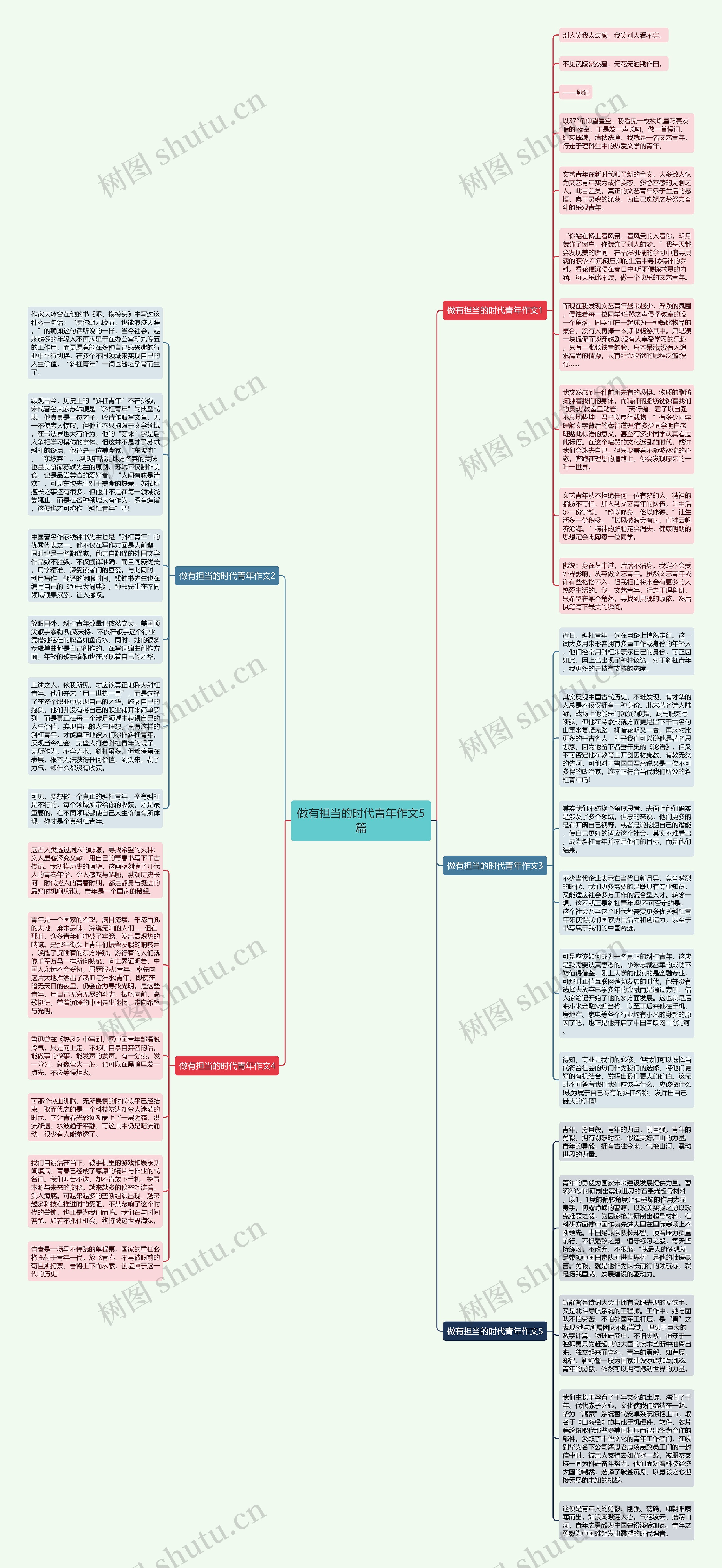 做有担当的时代青年作文5篇思维导图