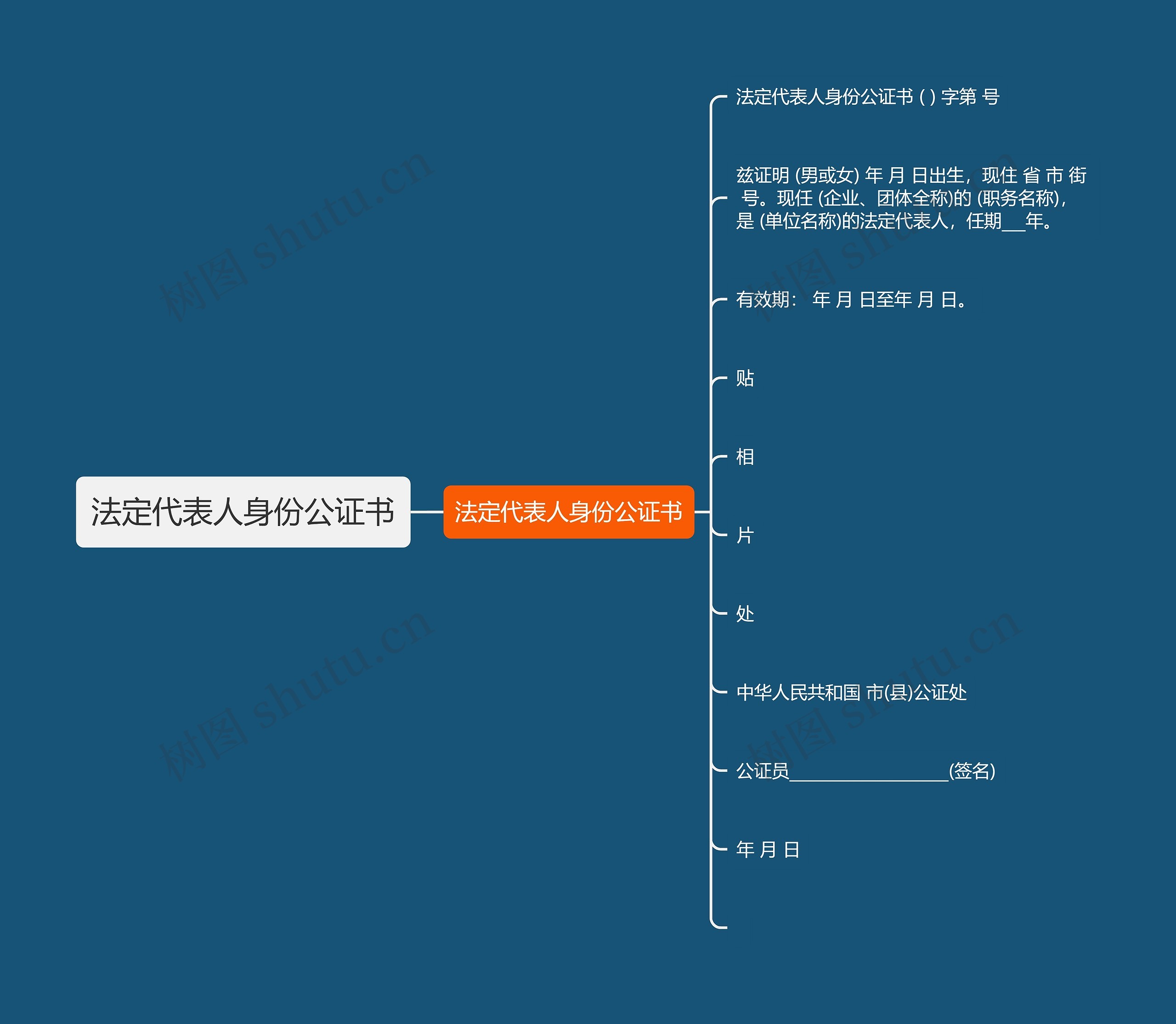 法定代表人身份公证书