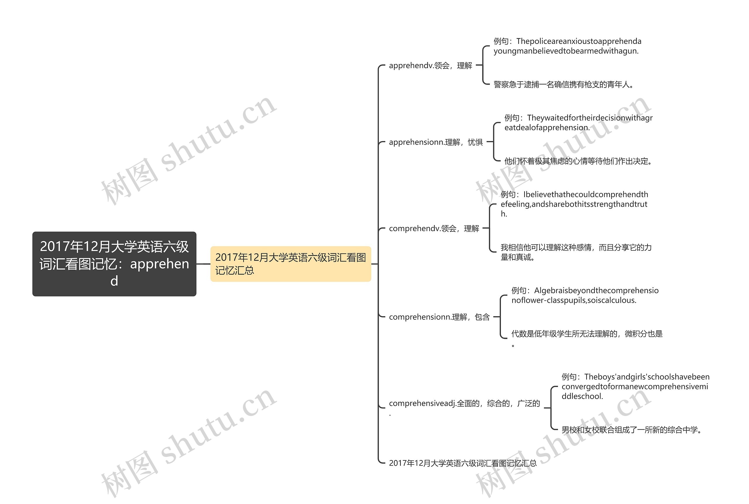 2017年12月大学英语六级词汇看图记忆：apprehend思维导图