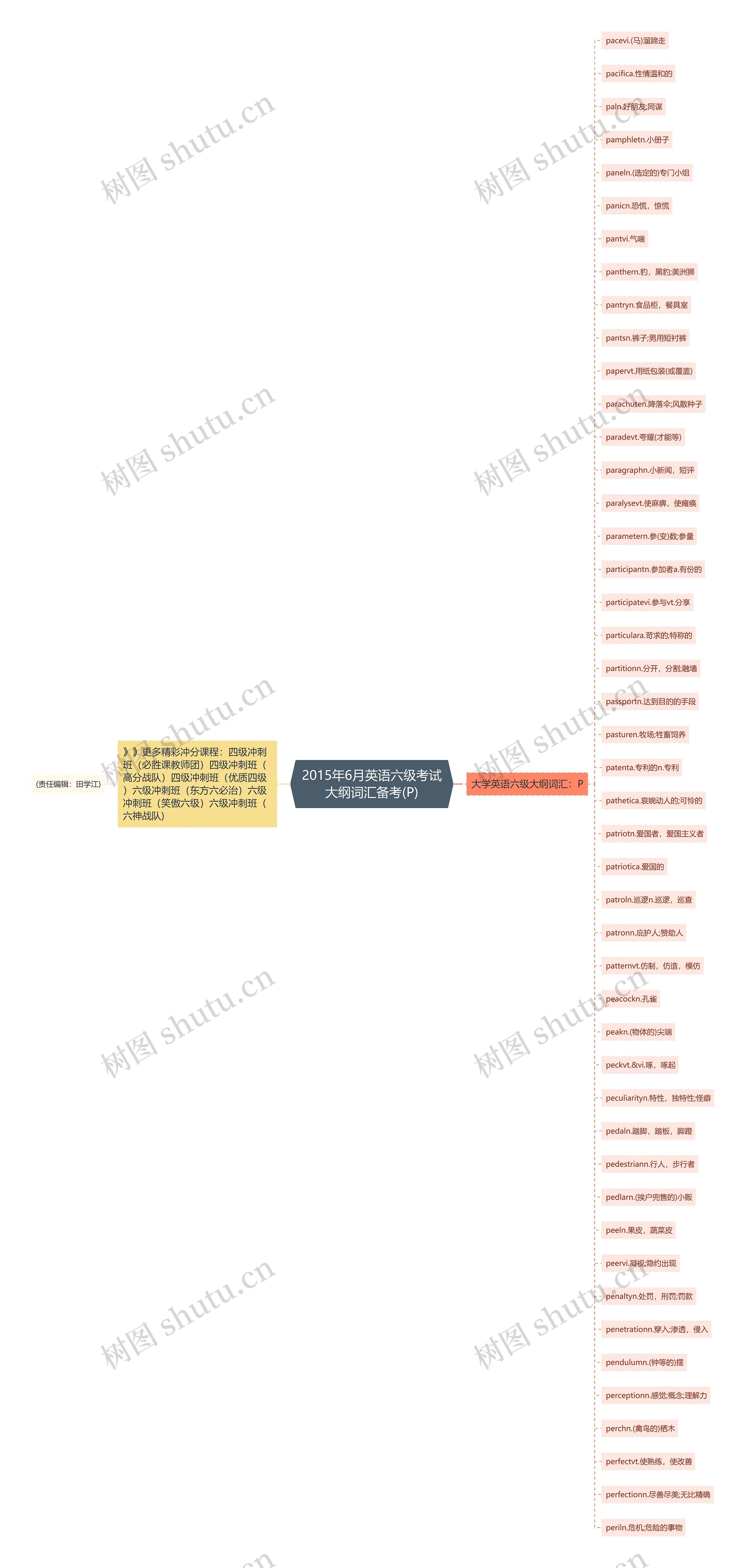 2015年6月英语六级考试大纲词汇备考(P)思维导图