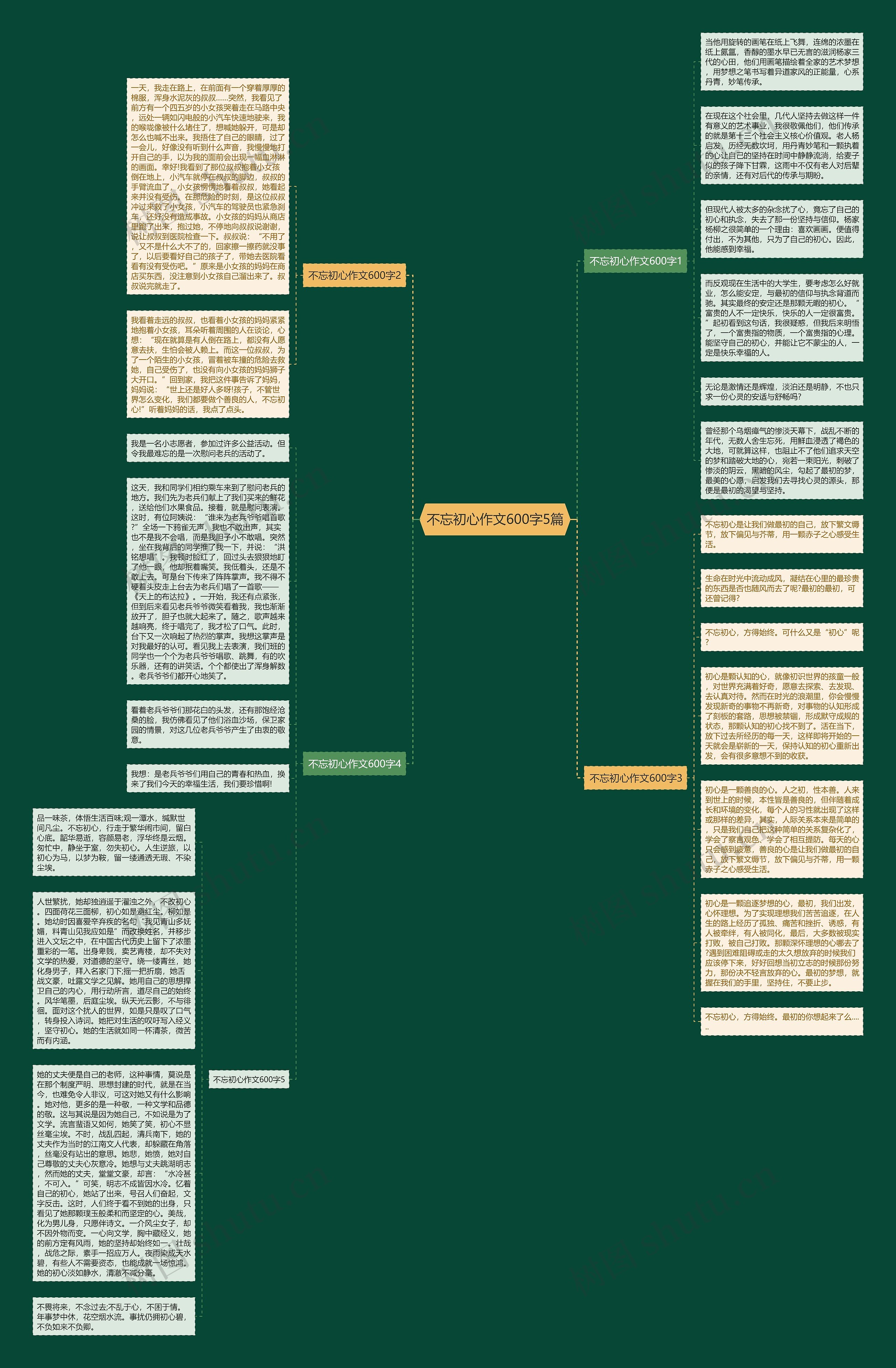 不忘初心作文600字5篇思维导图