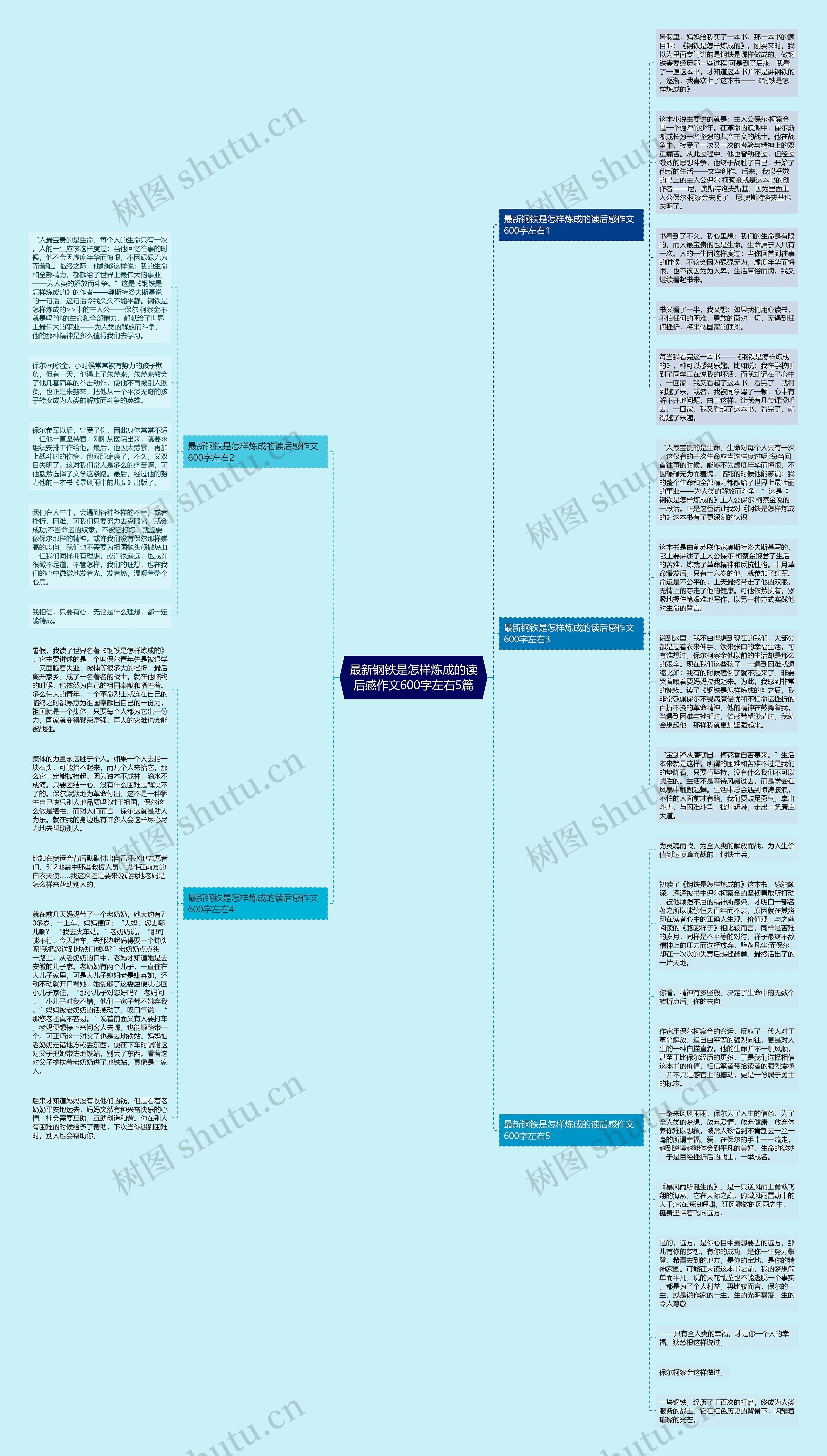 最新钢铁是怎样炼成的读后感作文600字左右5篇思维导图