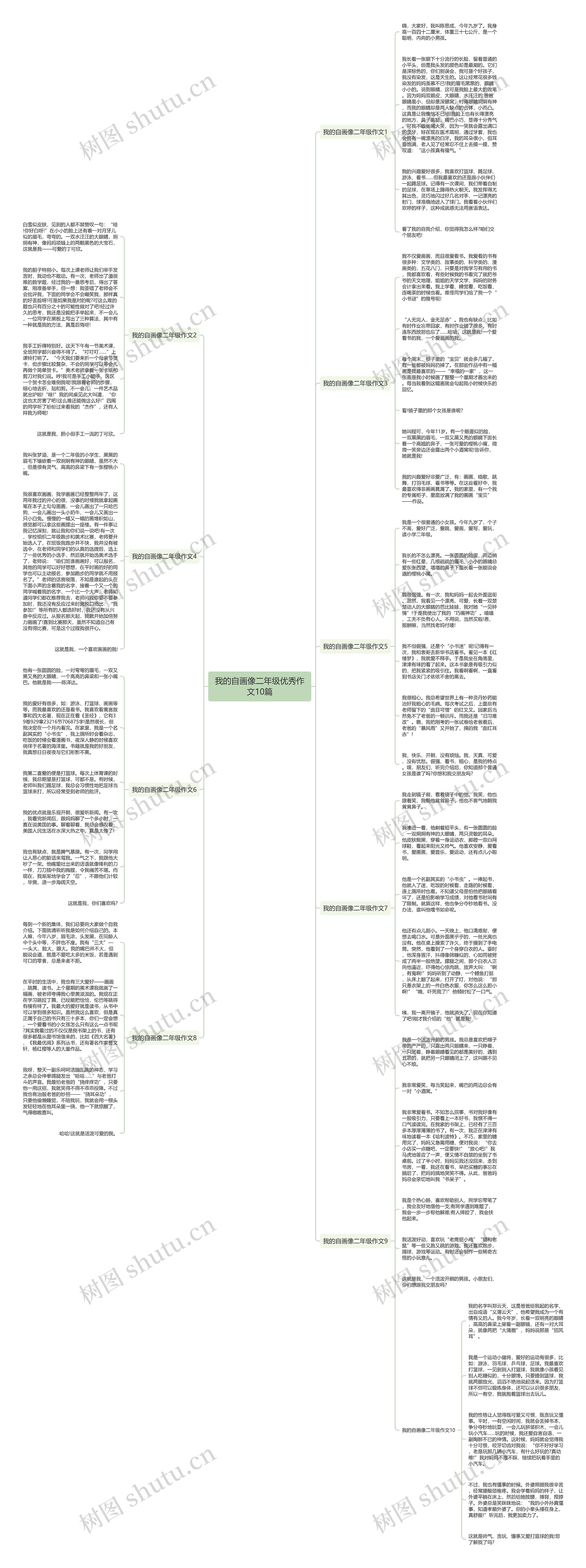 我的自画像二年级优秀作文10篇思维导图
